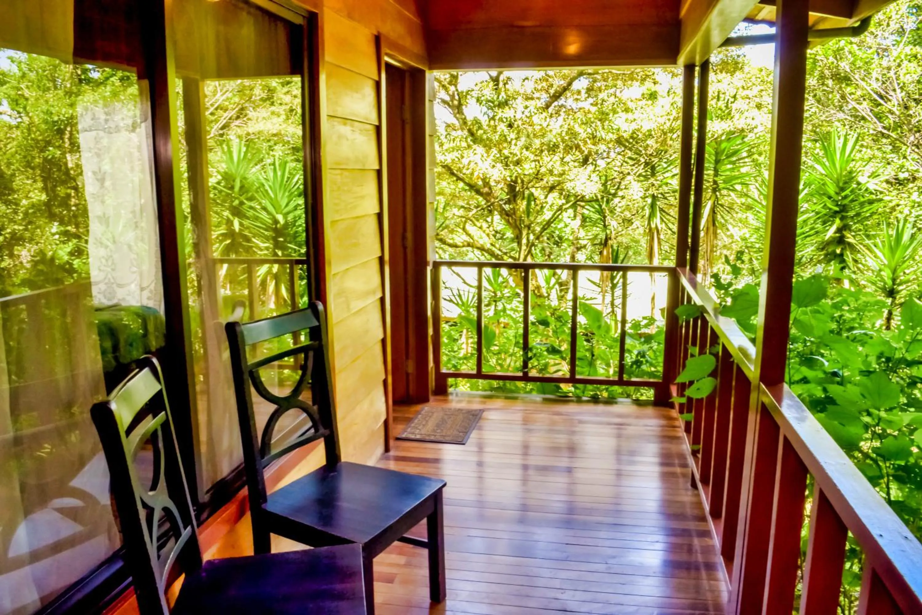 Balcony/Terrace in Jaguarundi Jungle Lodge - Monteverde