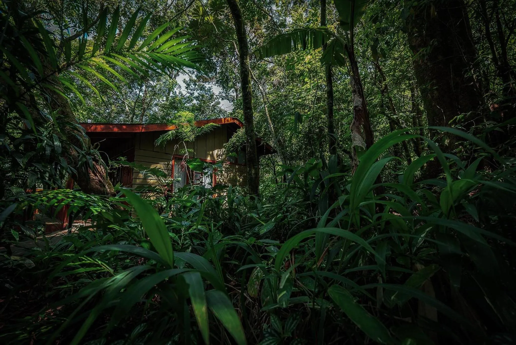 Mountain view in Jaguarundi Jungle Lodge - Monteverde