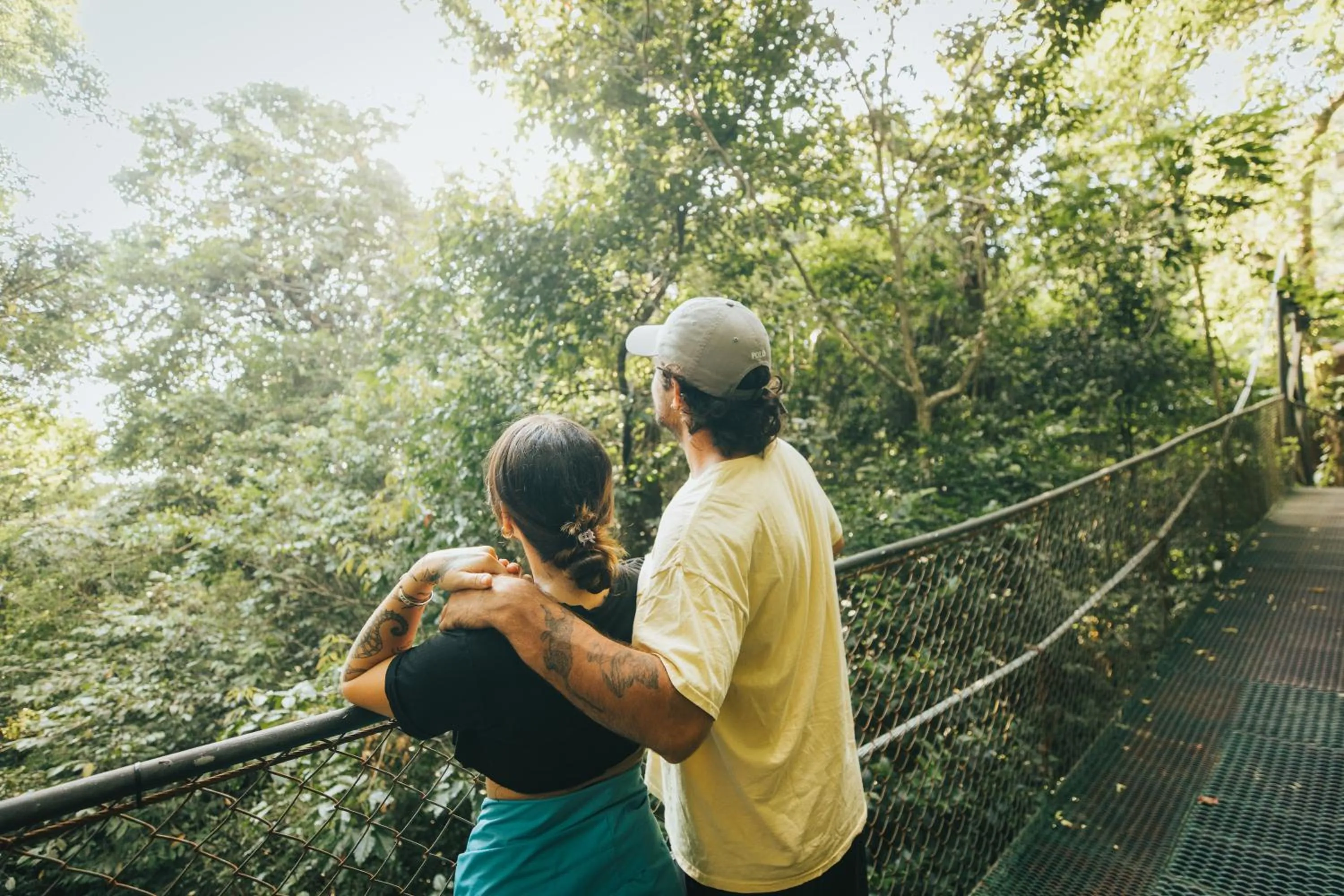 Natural landscape in Jaguarundi Jungle Lodge - Monteverde