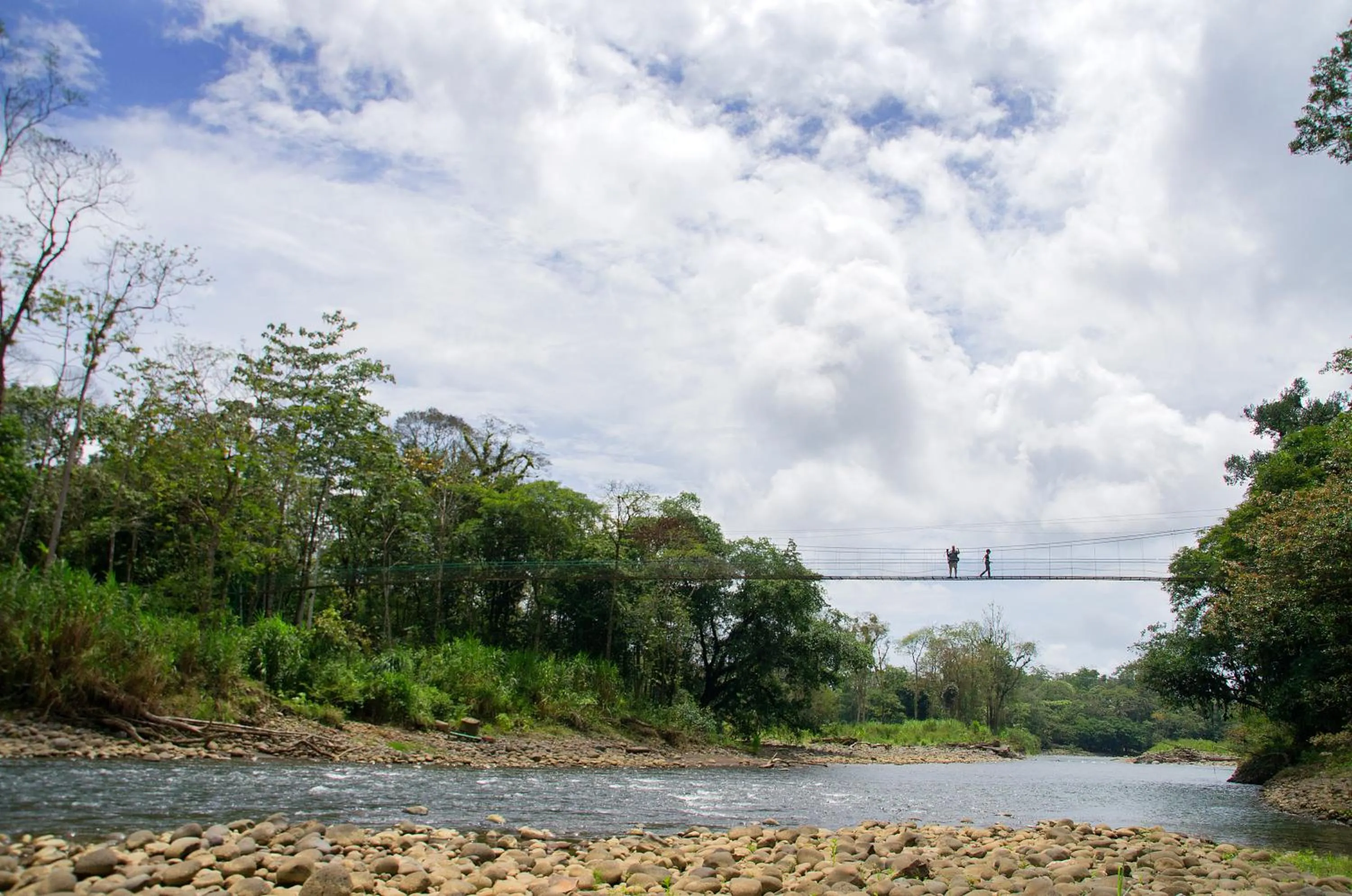 Day in Selva Verde Lodge