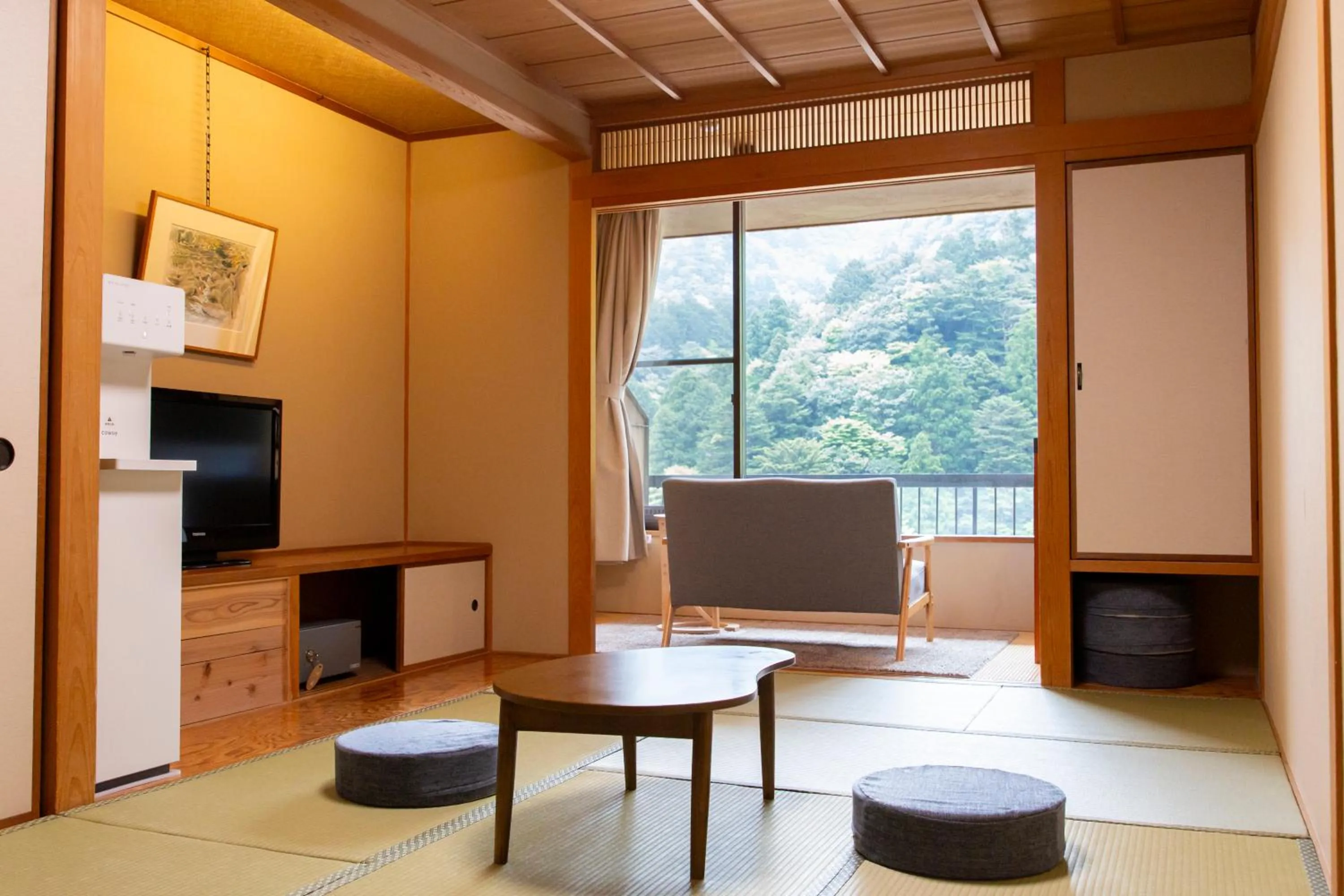 View (from property/room) in Shikanoyu Hotel