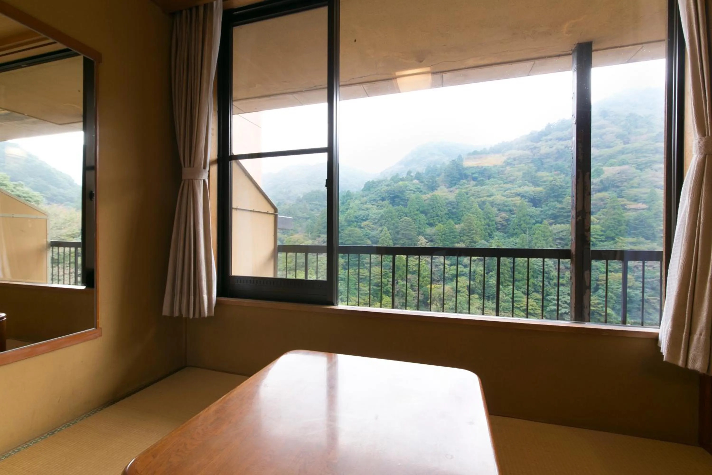 View (from property/room) in Shikanoyu Hotel