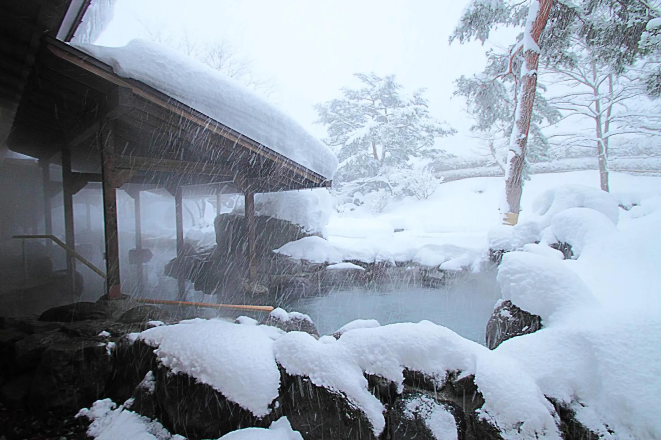 Hot Spring Bath in Matsunoi