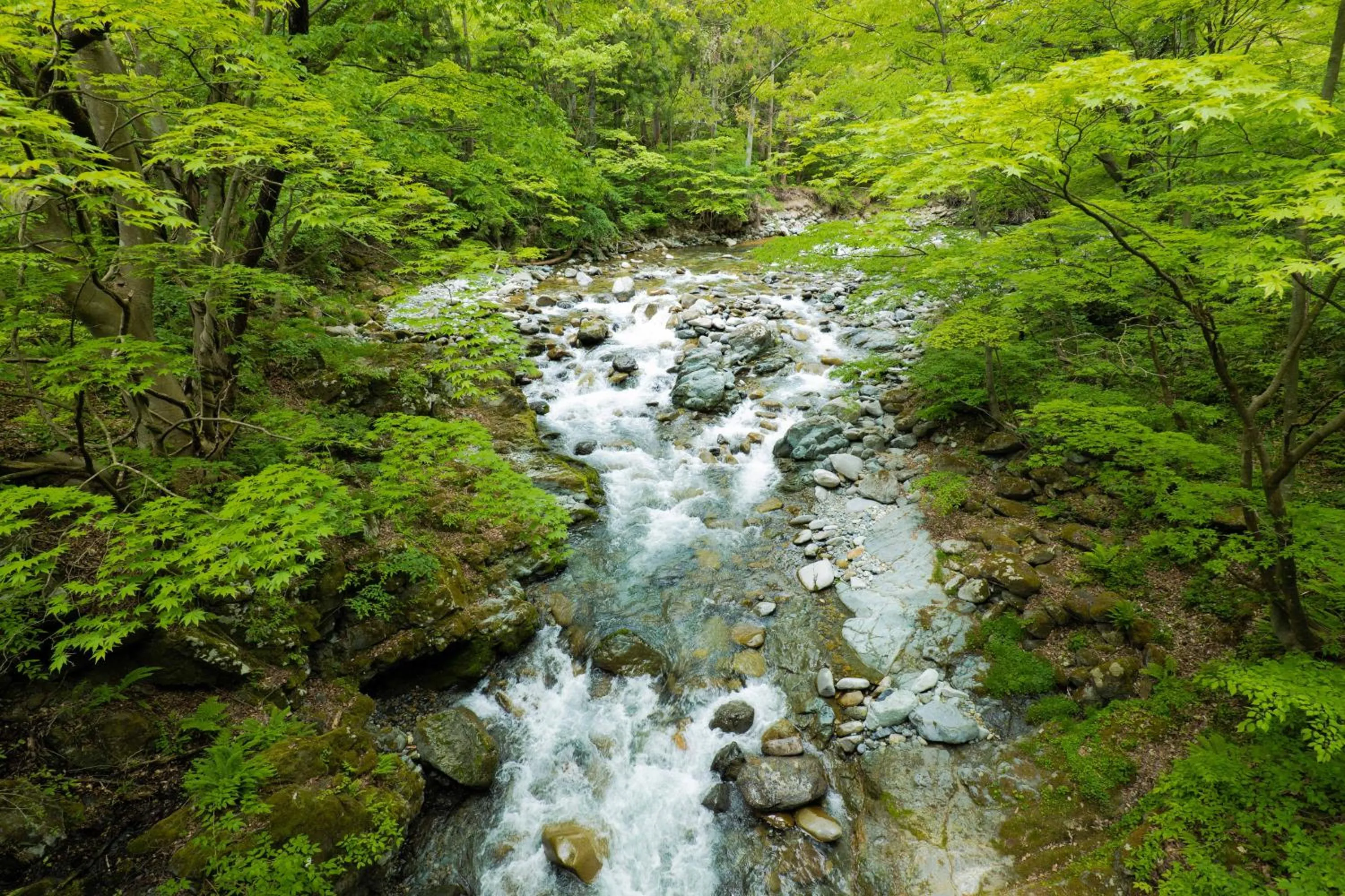 Off site in Matsunoi