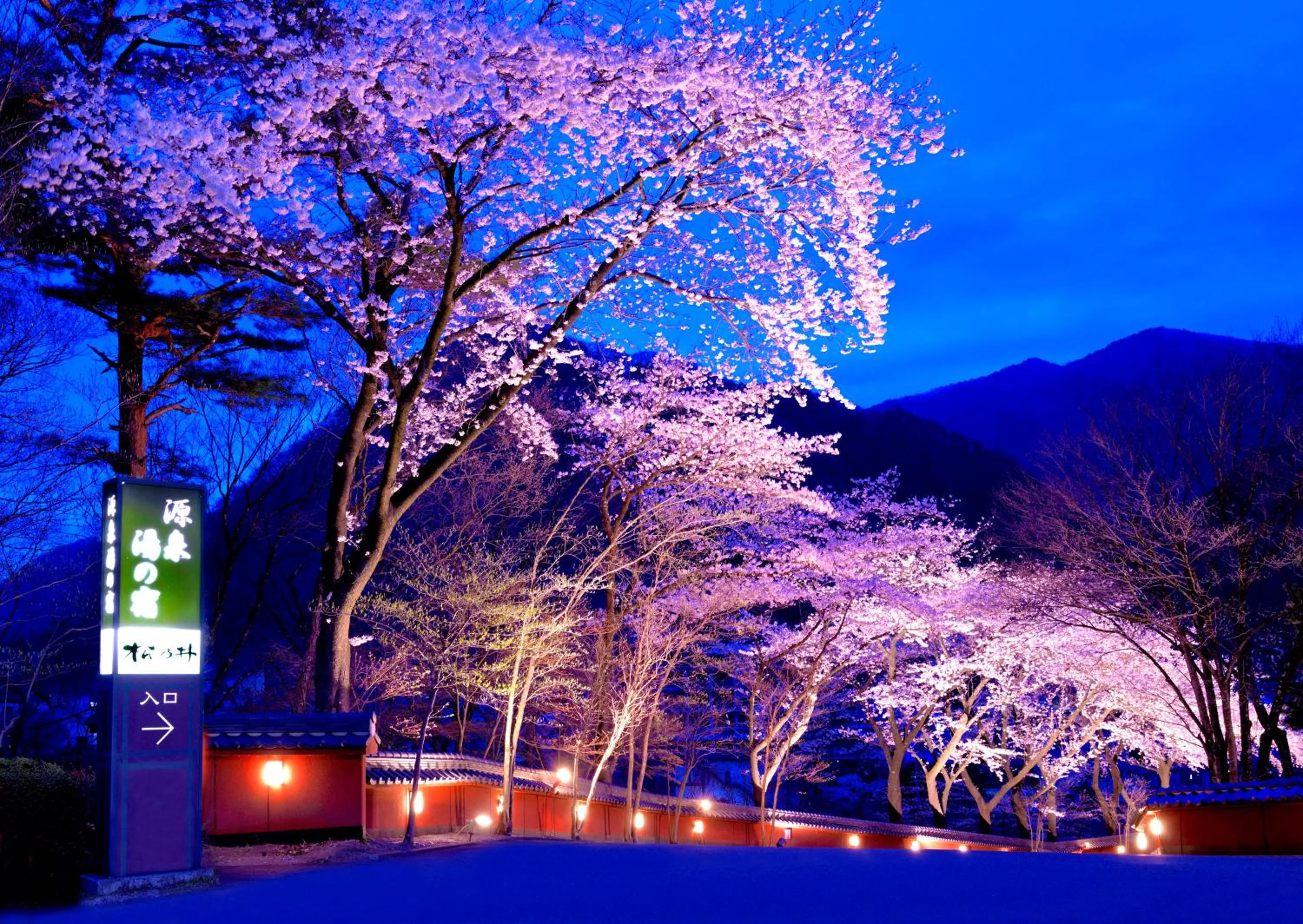 Property building in Matsunoi