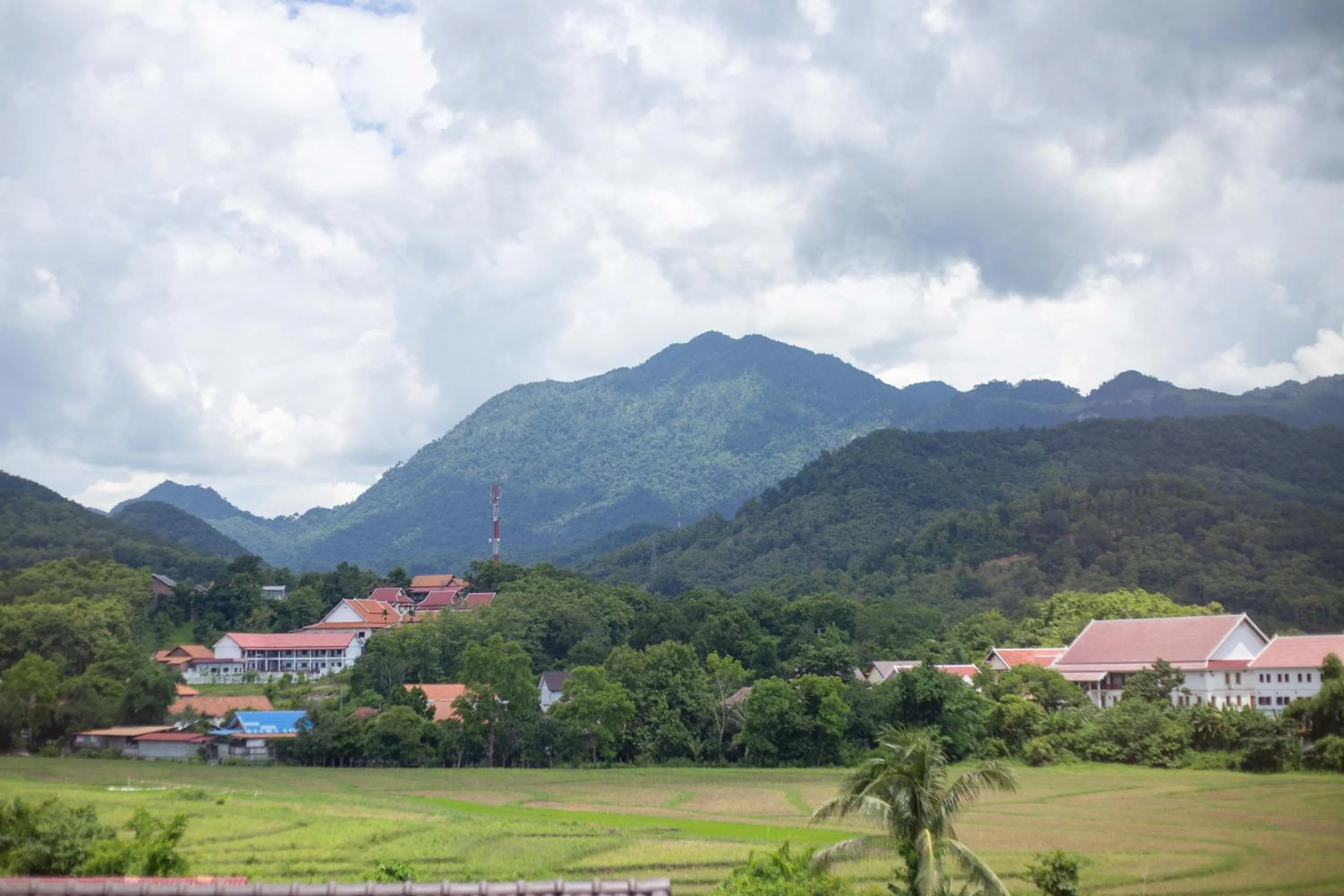 Mountain view in Garden House Rice Field and Mountain View