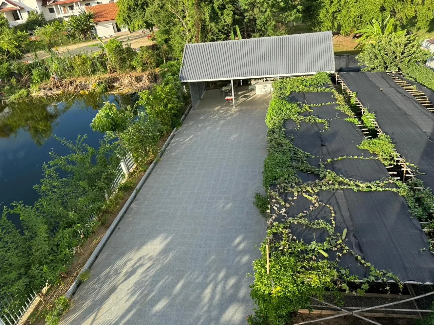Property building in Garden House Rice Field and Mountain View