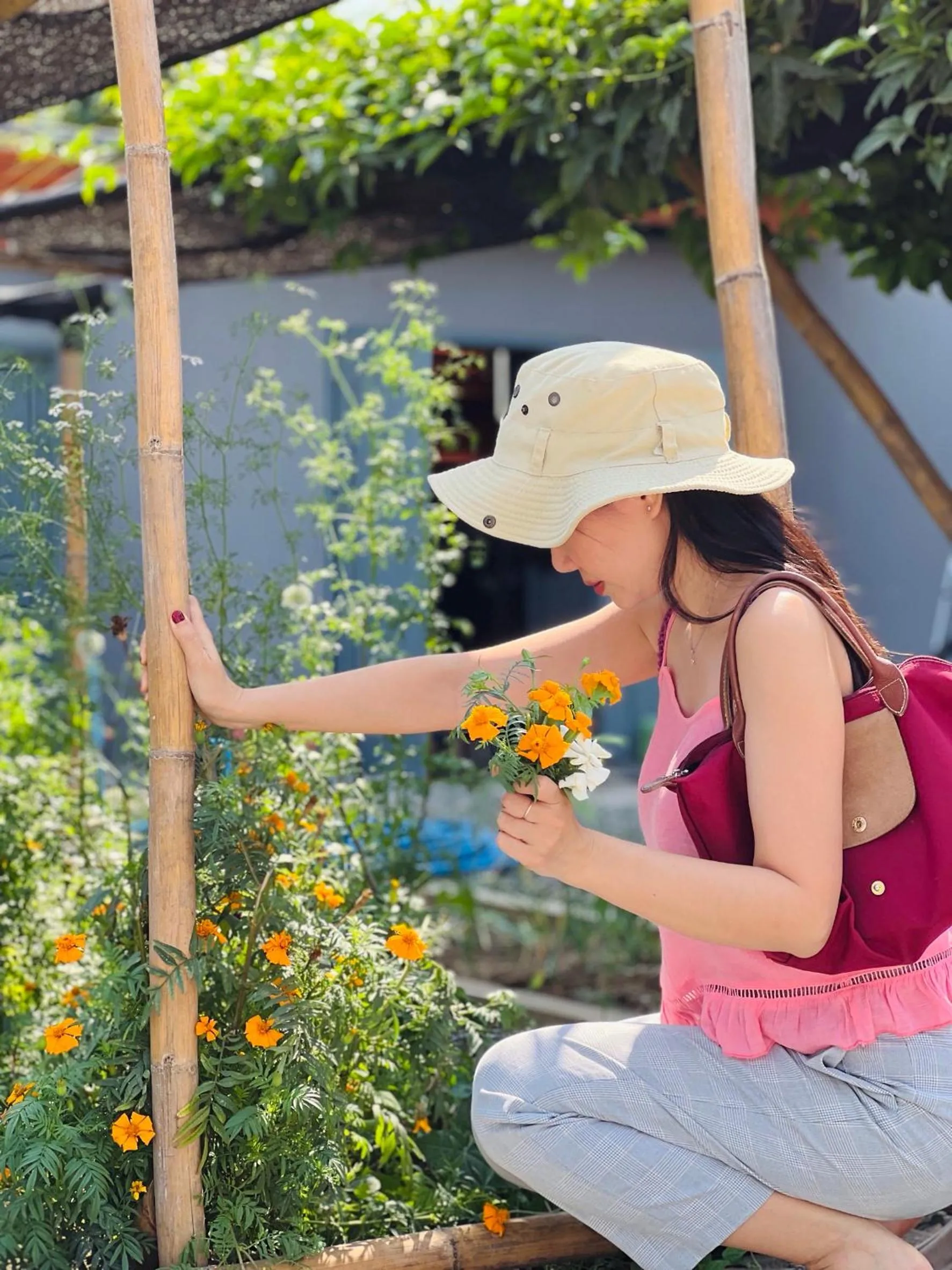 Garden in Garden House Rice Field and Mountain View