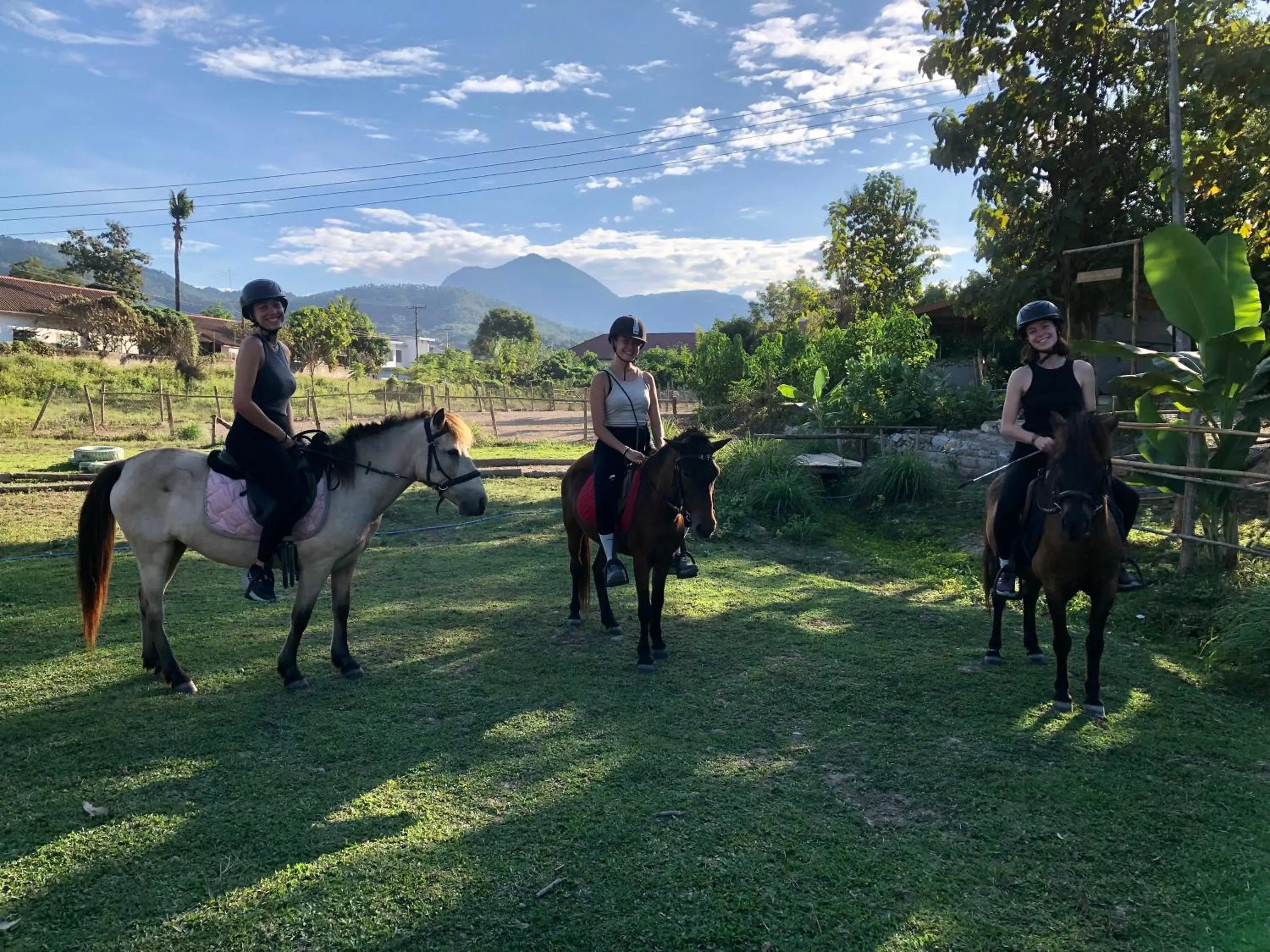 Day in Garden House Rice Field and Mountain View