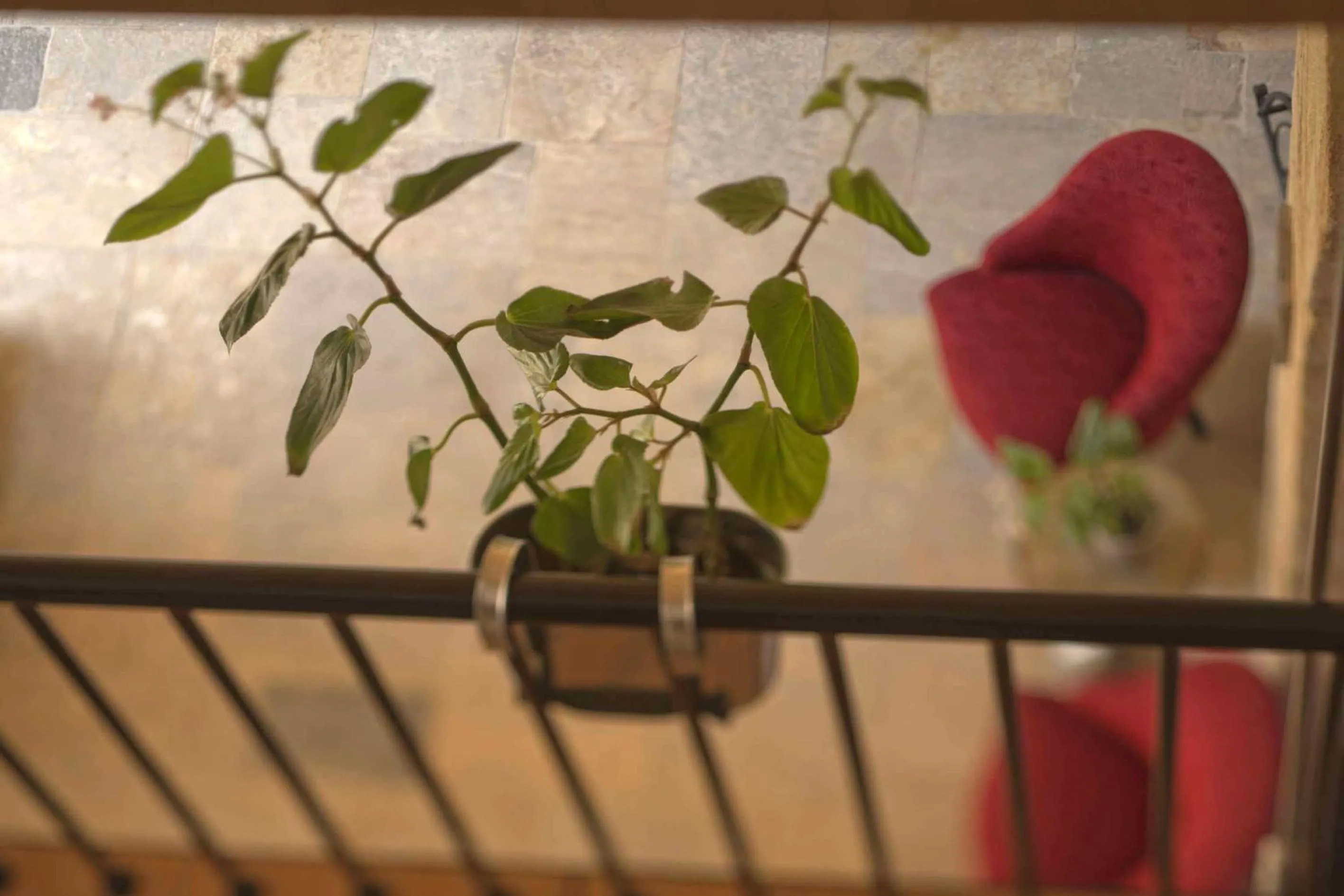 Decorative detail in L'Auberge de la Mer