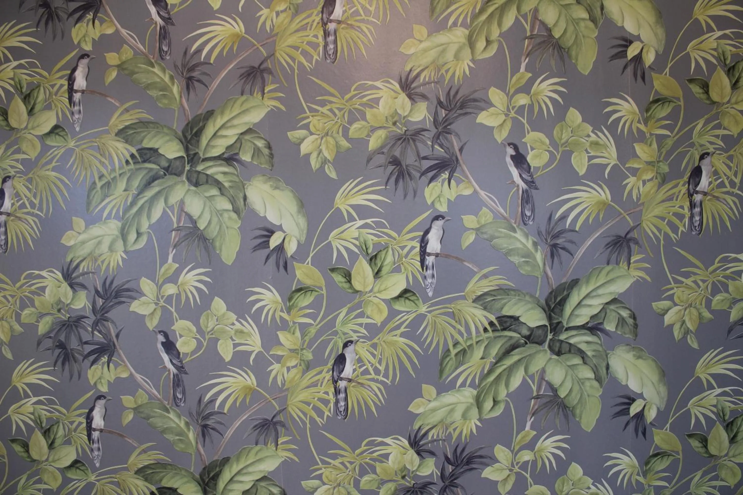 Bathroom in Rosenhill B&B