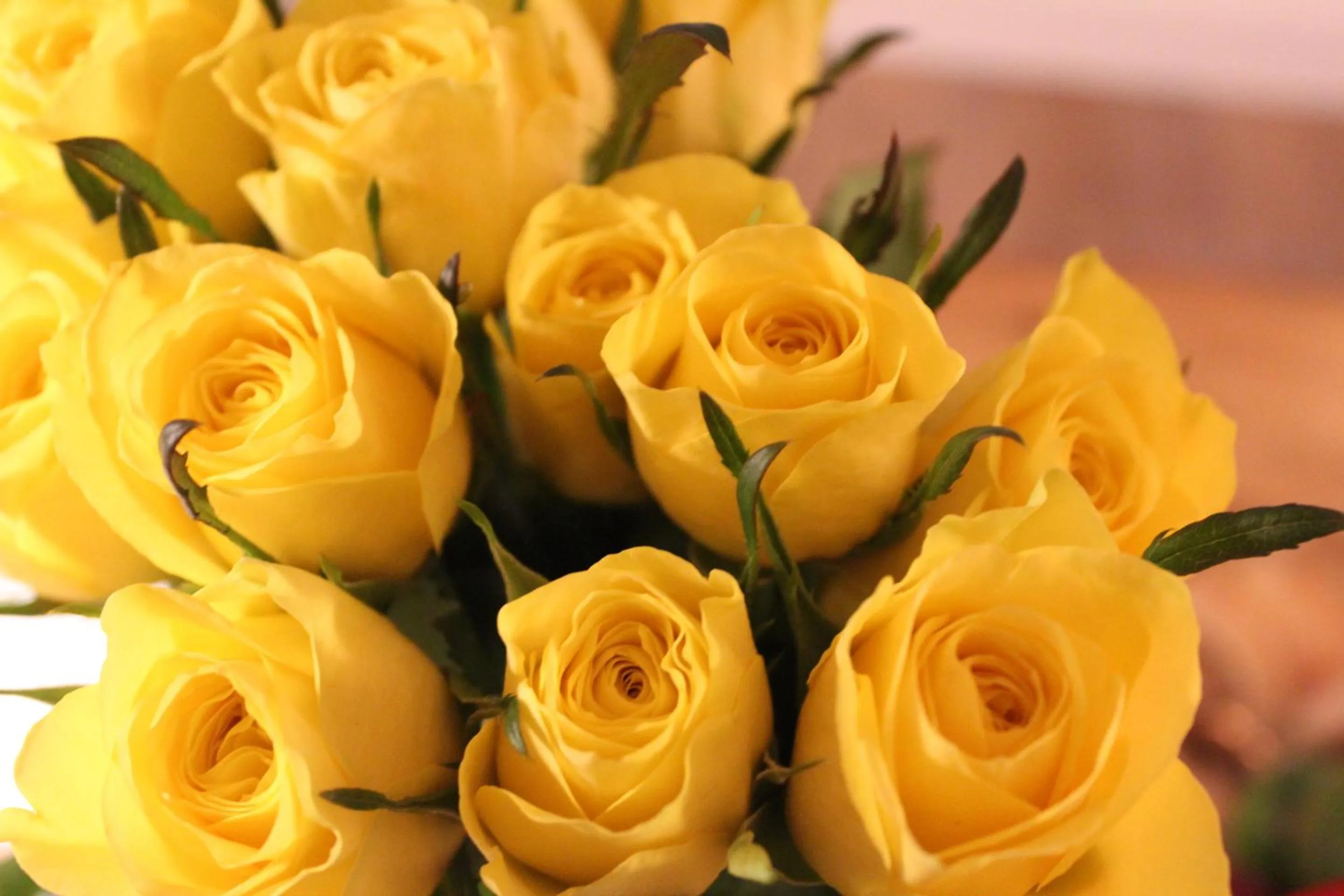 Natural landscape in Rosenhill B&B