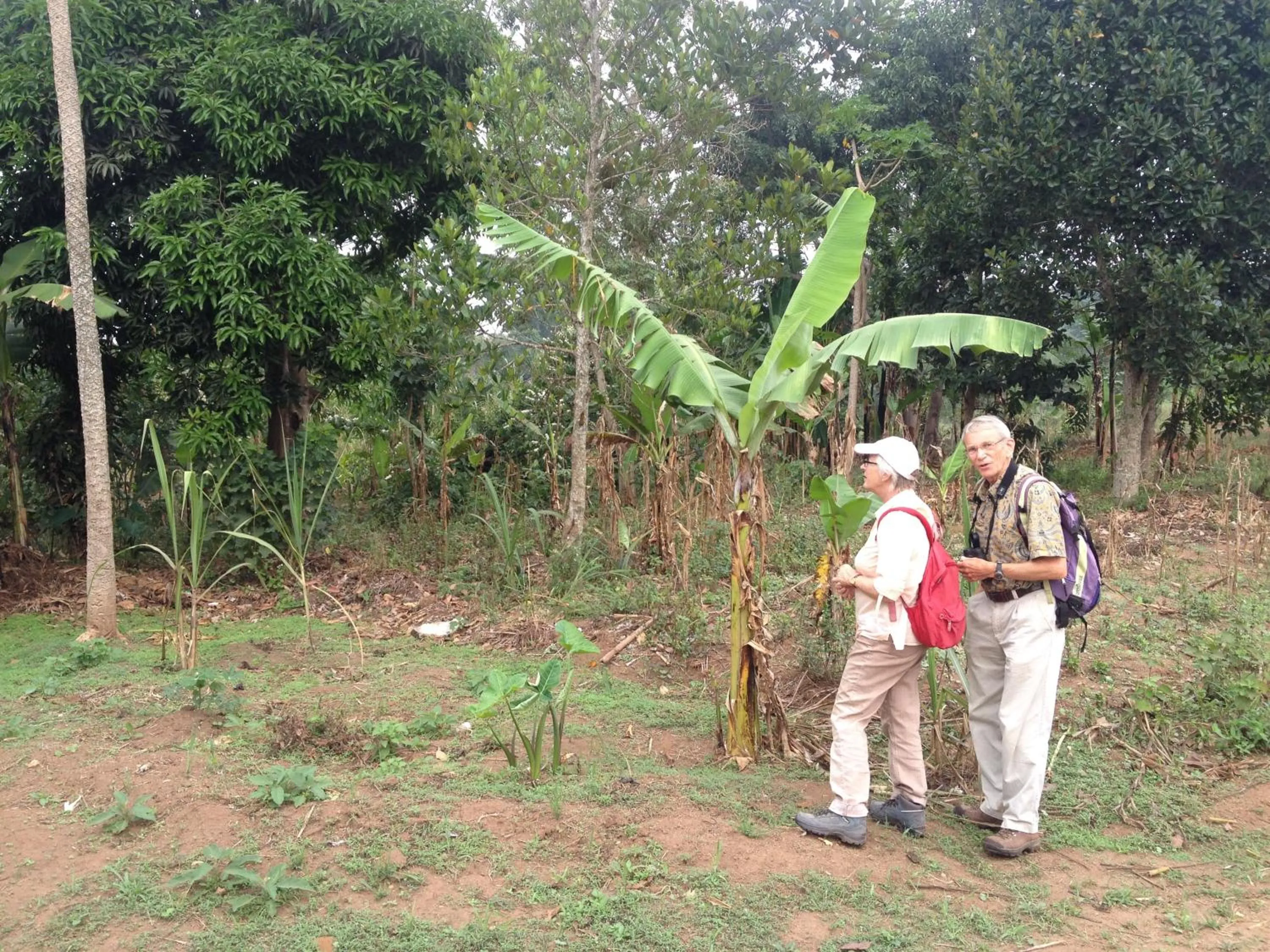 Hiking in Yellow Haven Lodge