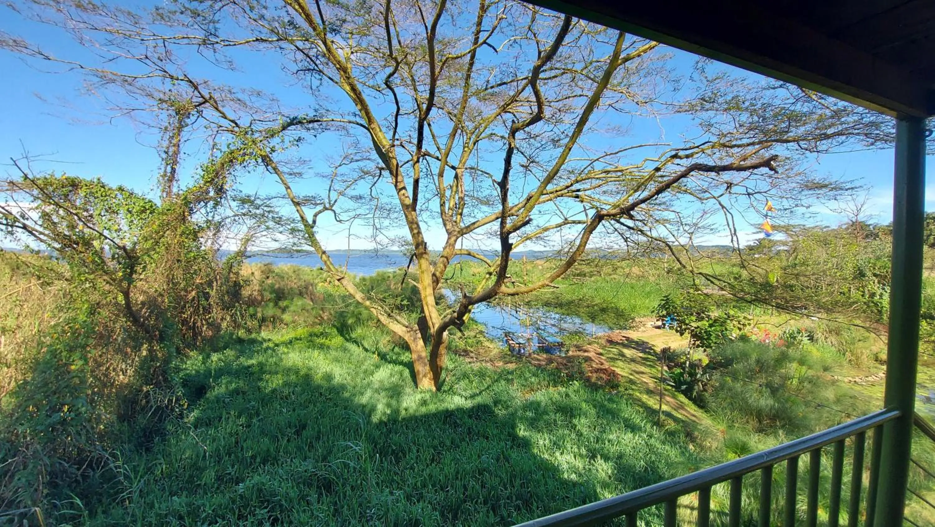 Natural landscape in Yellow Haven Lodge