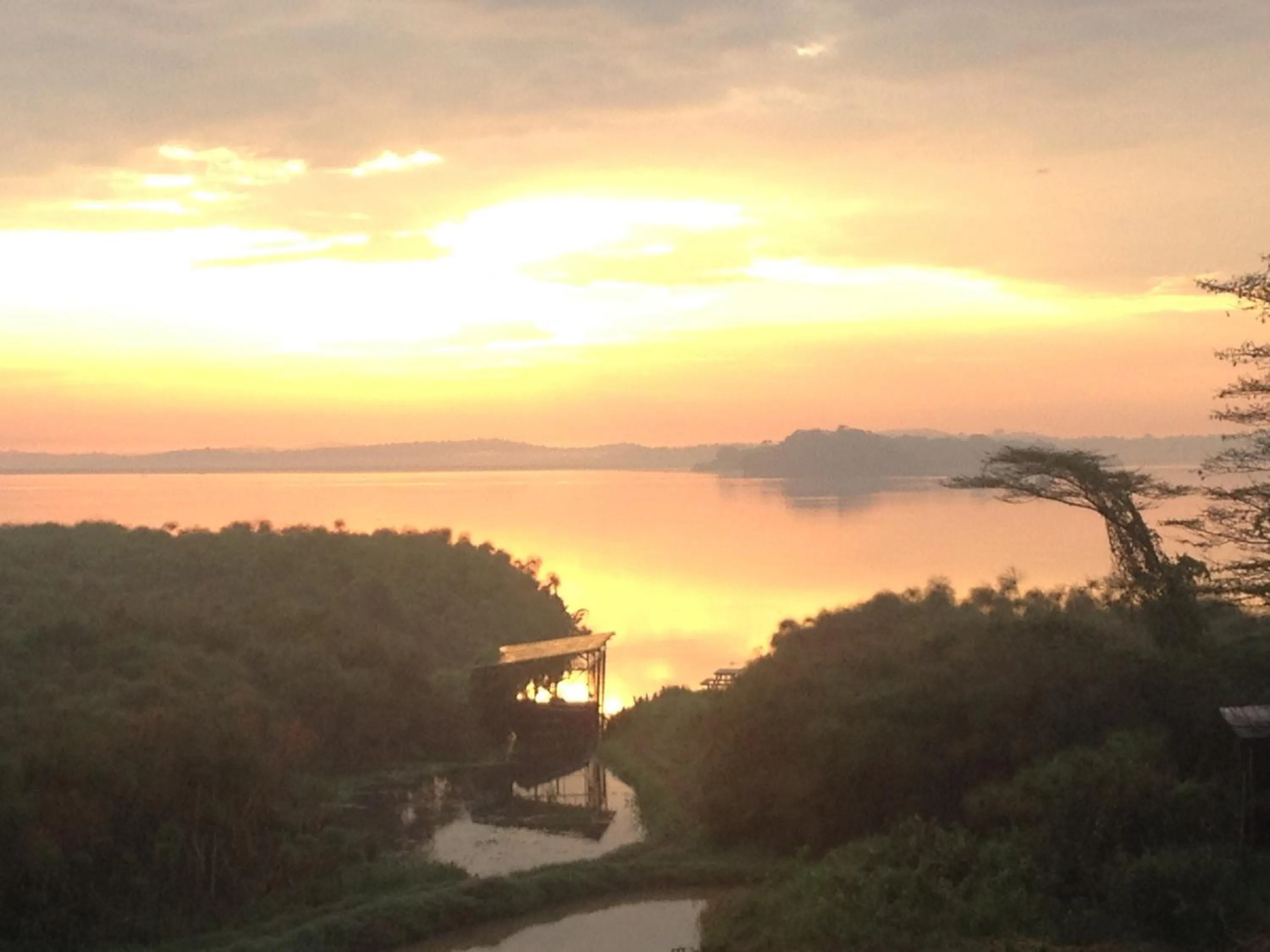 Natural landscape in Yellow Haven Lodge