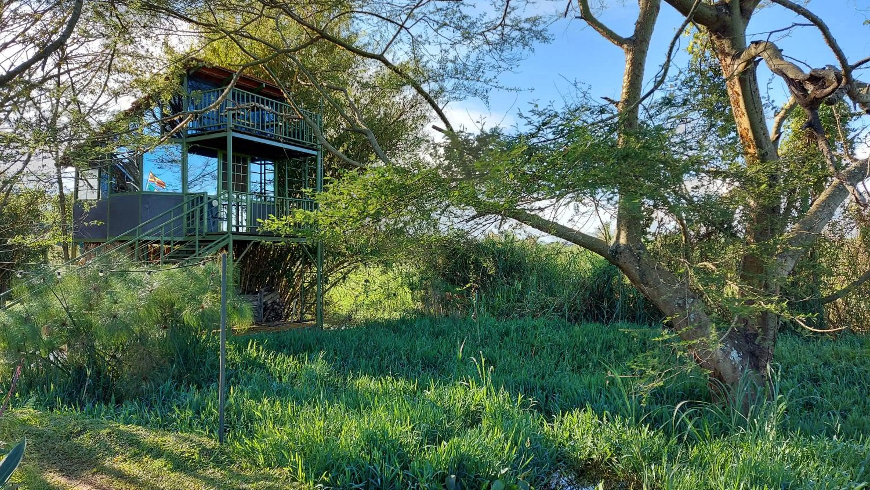 Natural landscape in Yellow Haven Lodge