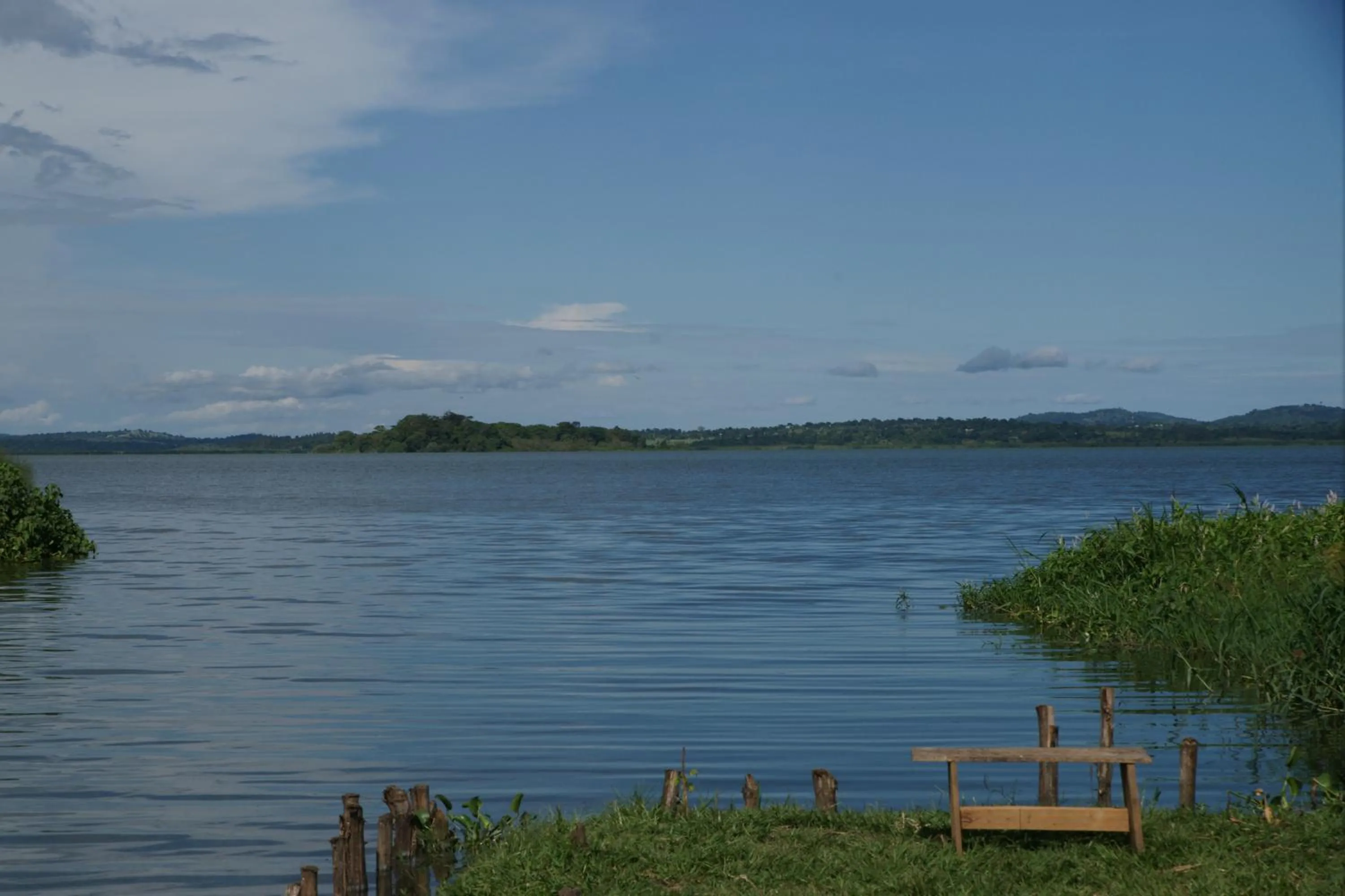 Natural landscape in Yellow Haven Lodge