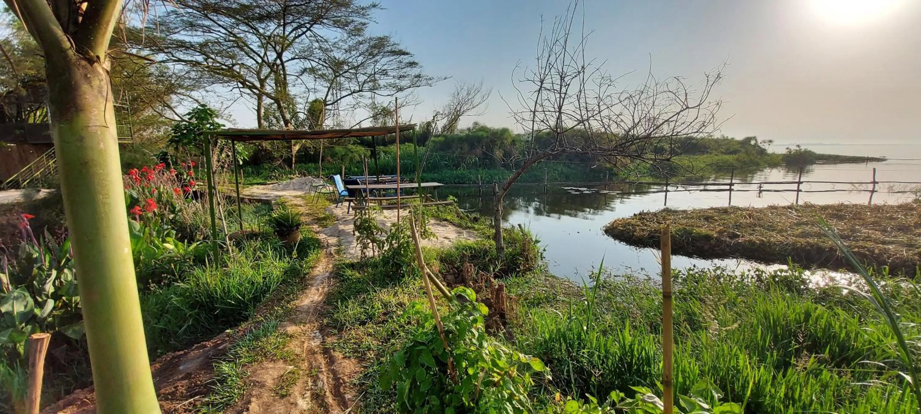 Natural landscape in Yellow Haven Lodge