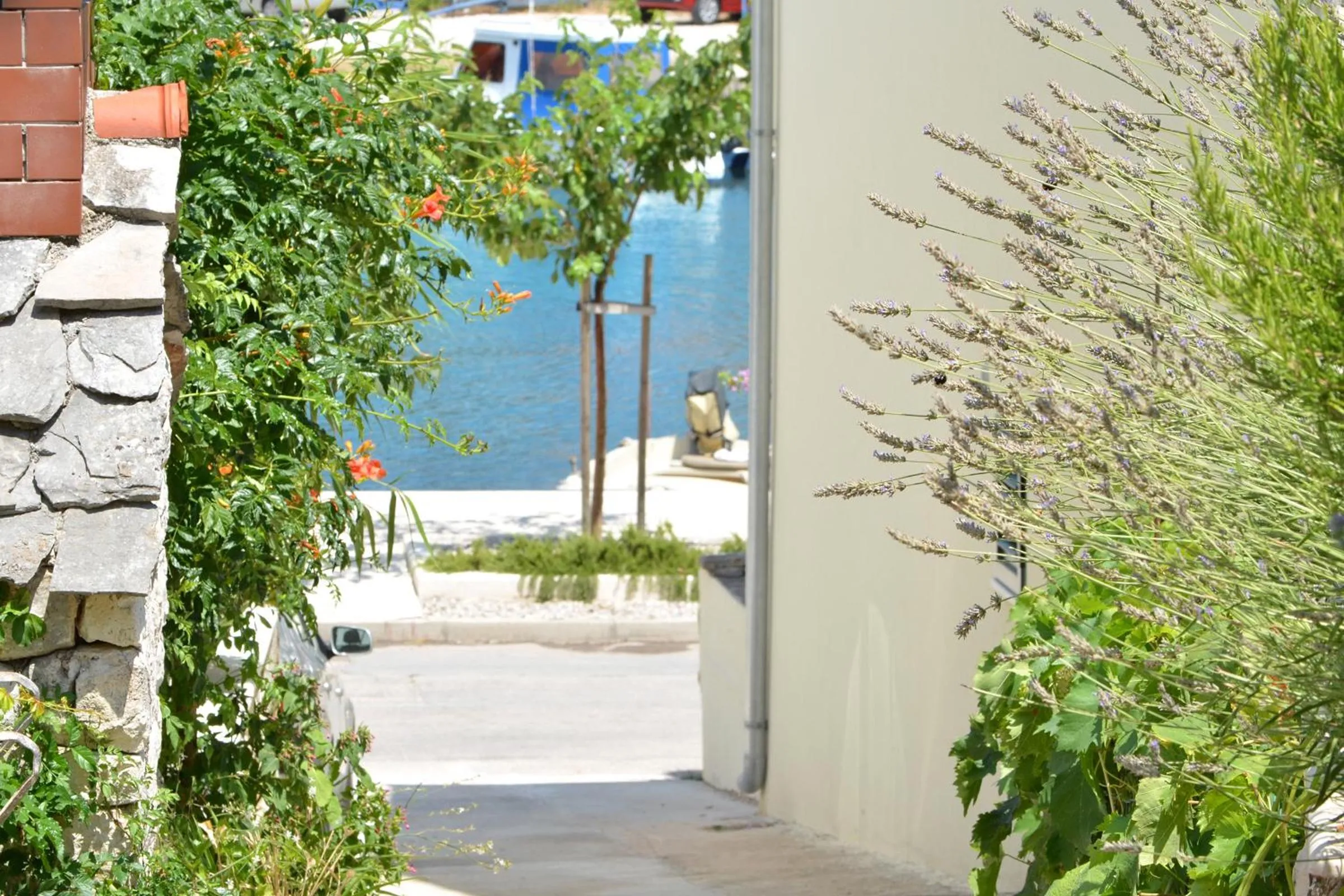 Apartments Petra