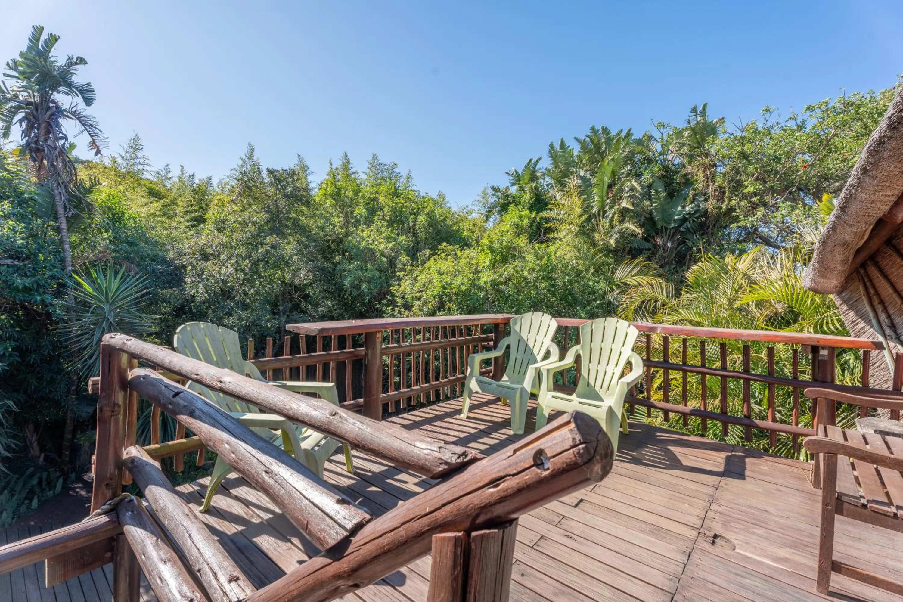 Spring in Tidewaters River Lodge