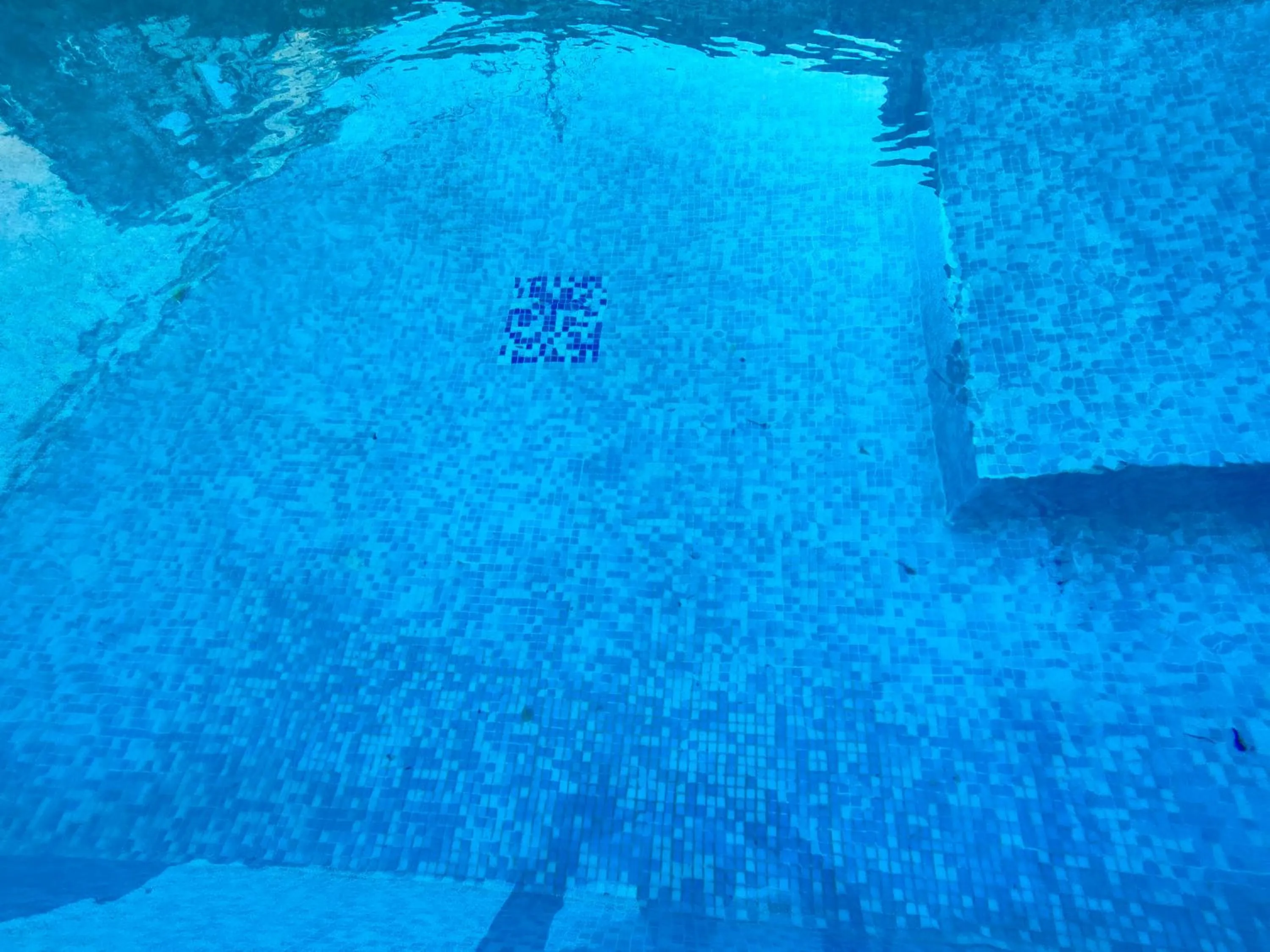 Swimming pool in Grotto's Paradise B&B