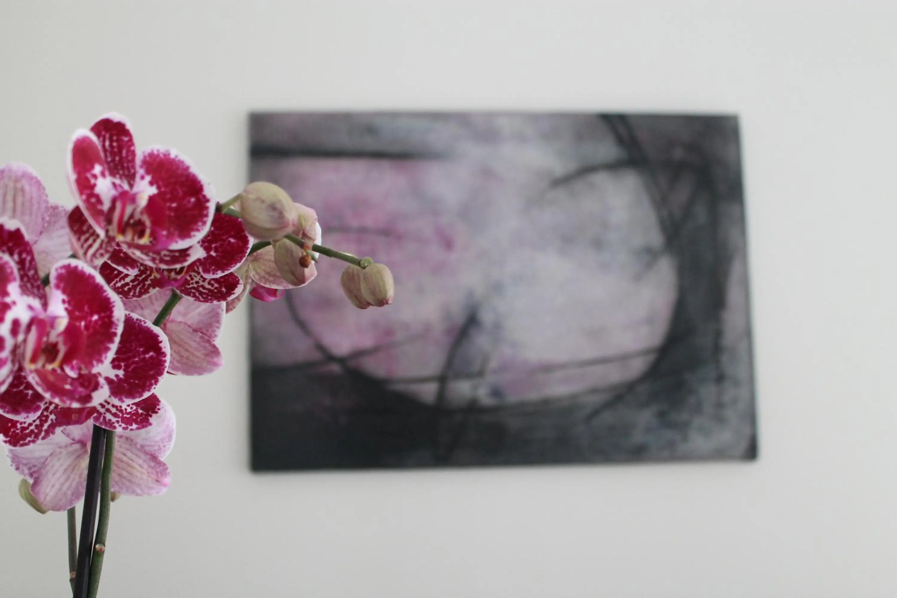 Decorative detail in DieciSedici