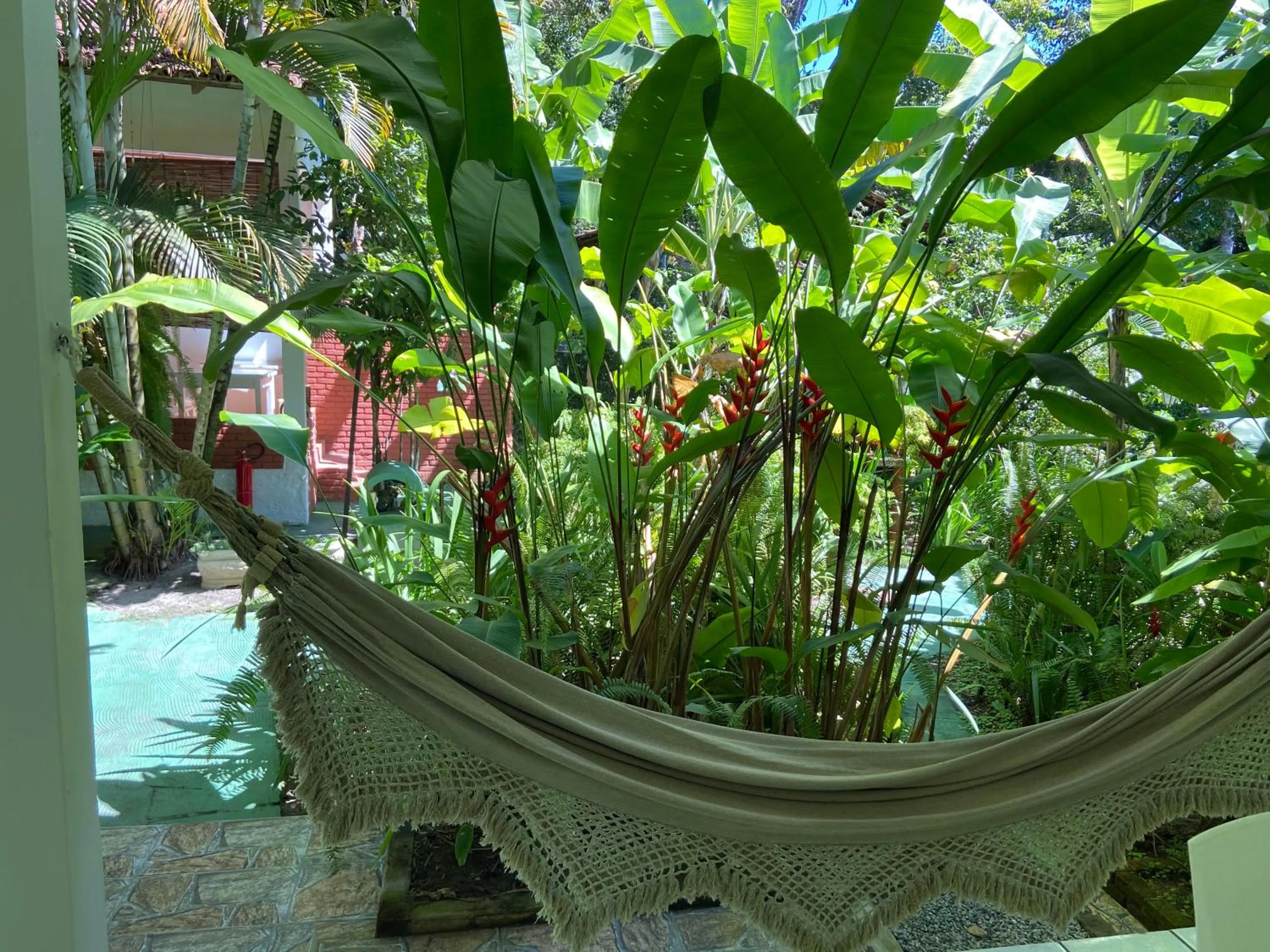 Patio in Pousada do Mineiro