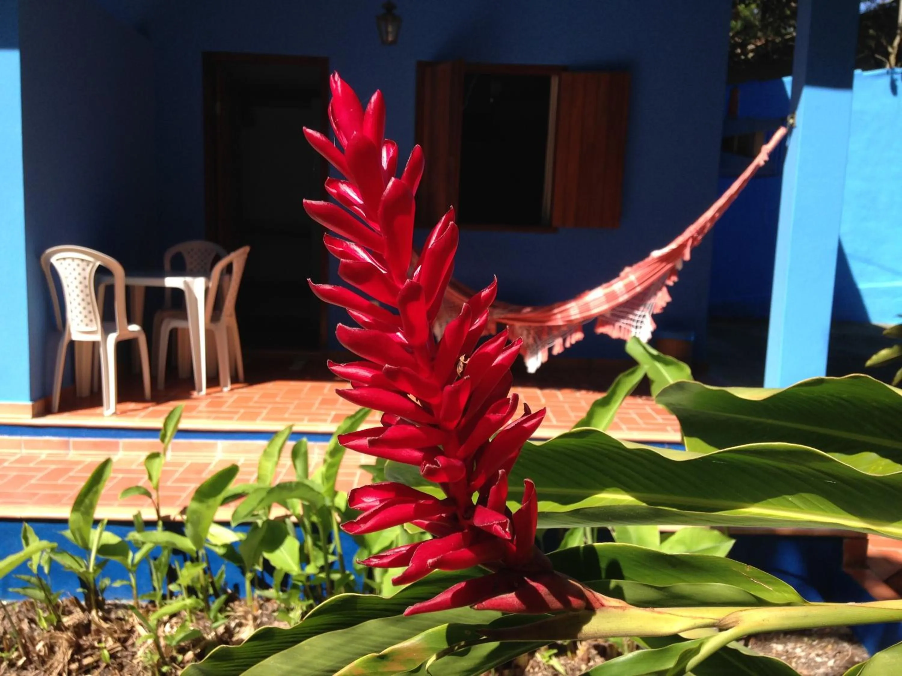 Patio in Pousada do Mineiro