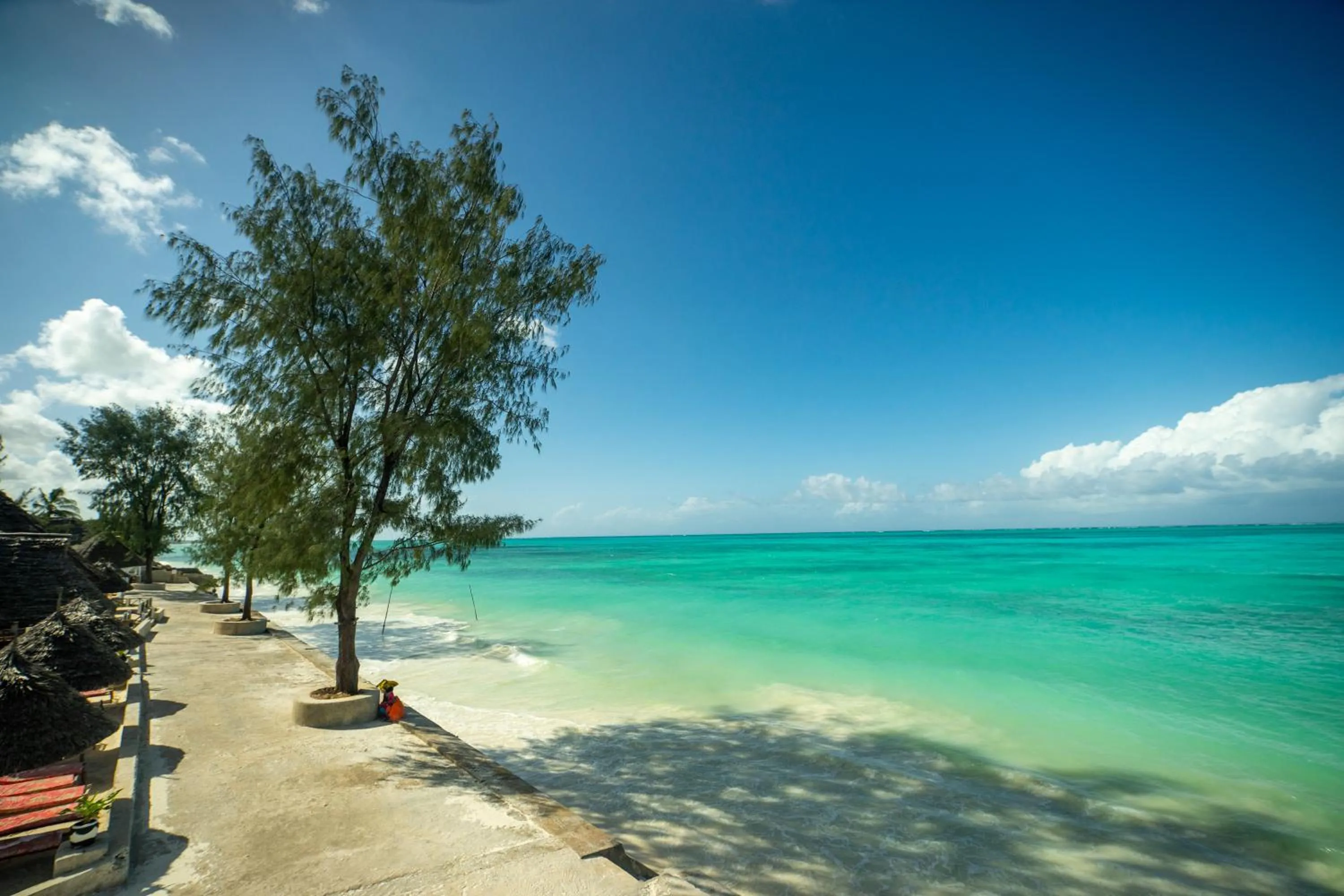 Natural landscape in Visitor's Inn