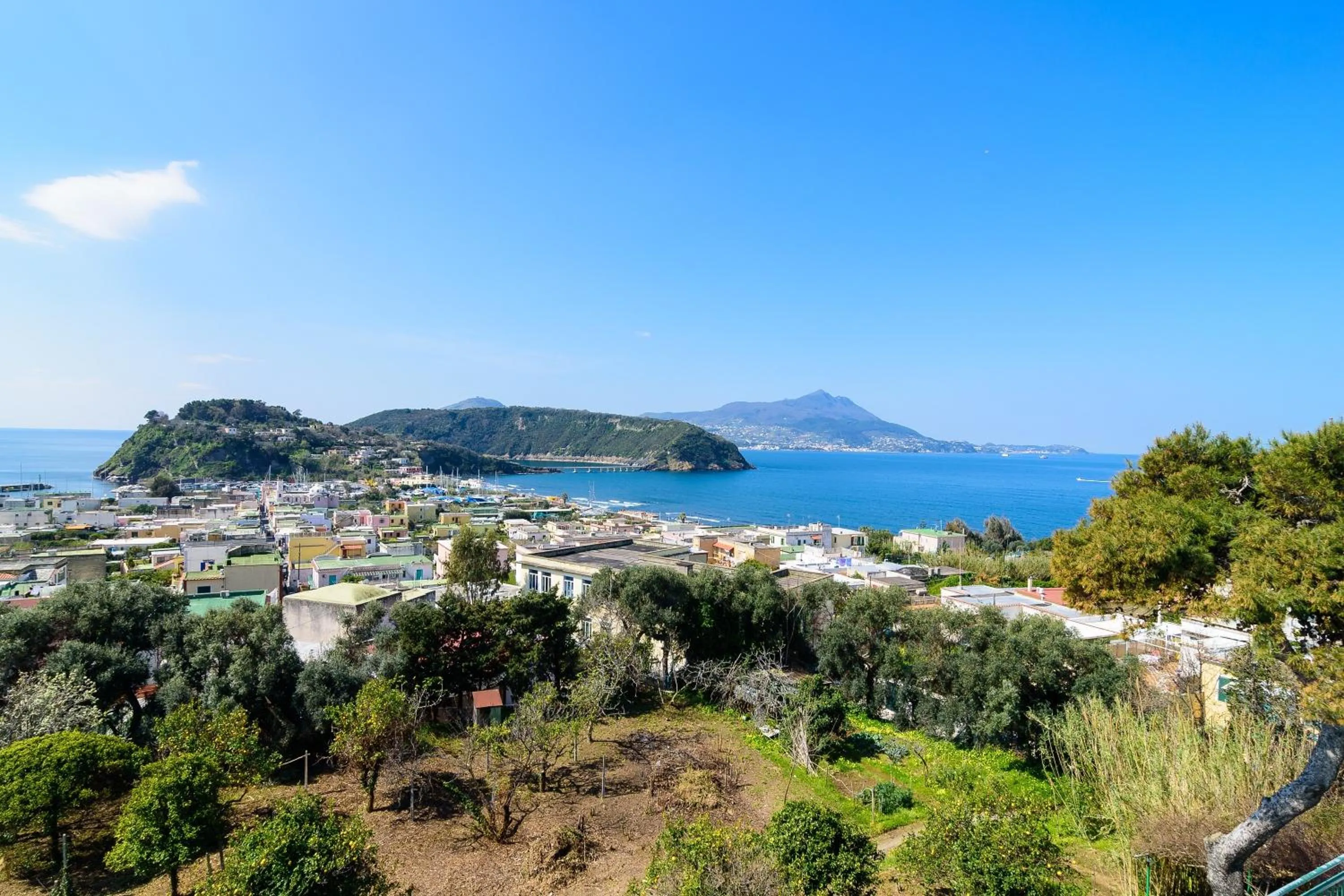 View (from property/room) in Hotel Riviera