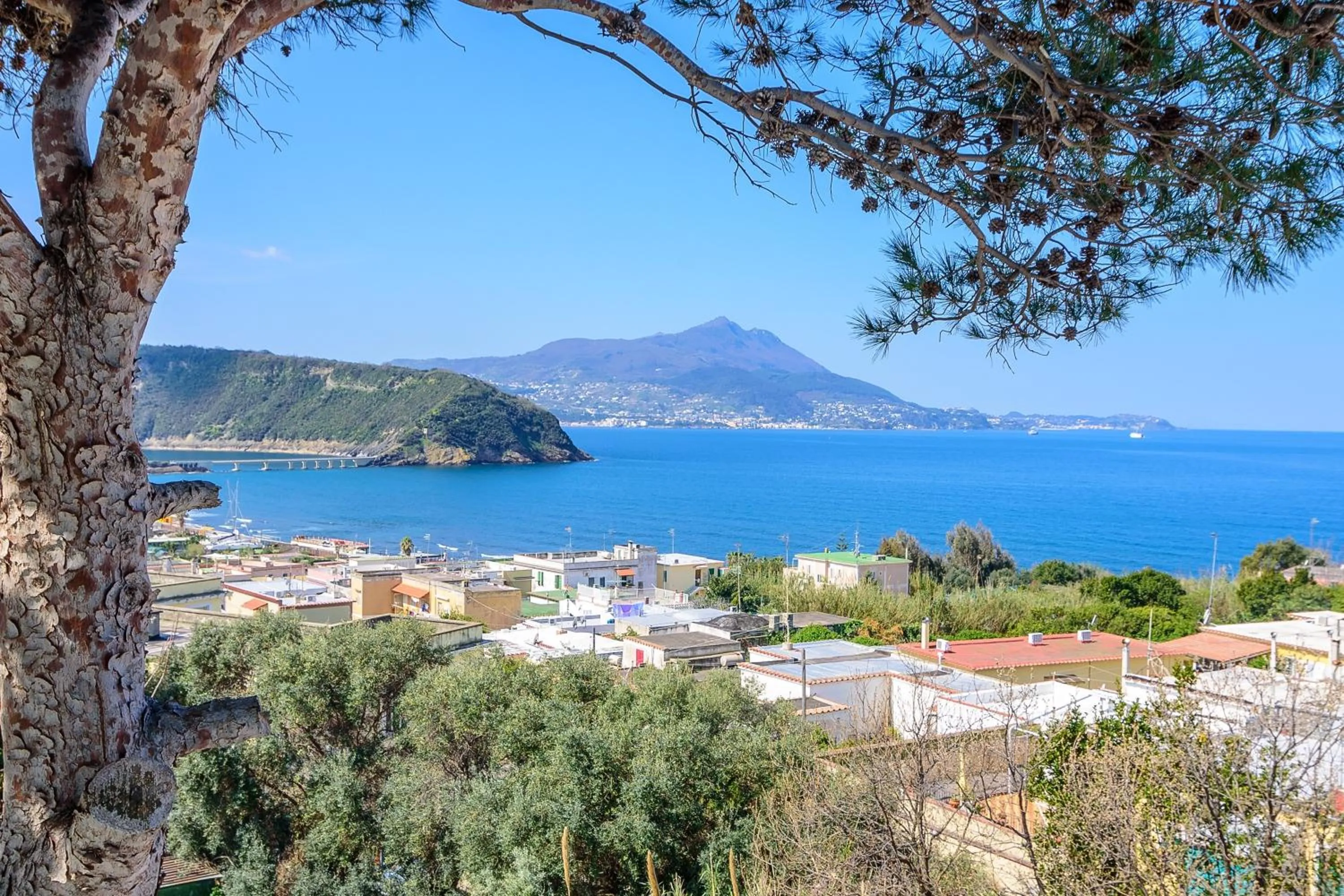 View (from property/room) in Hotel Riviera