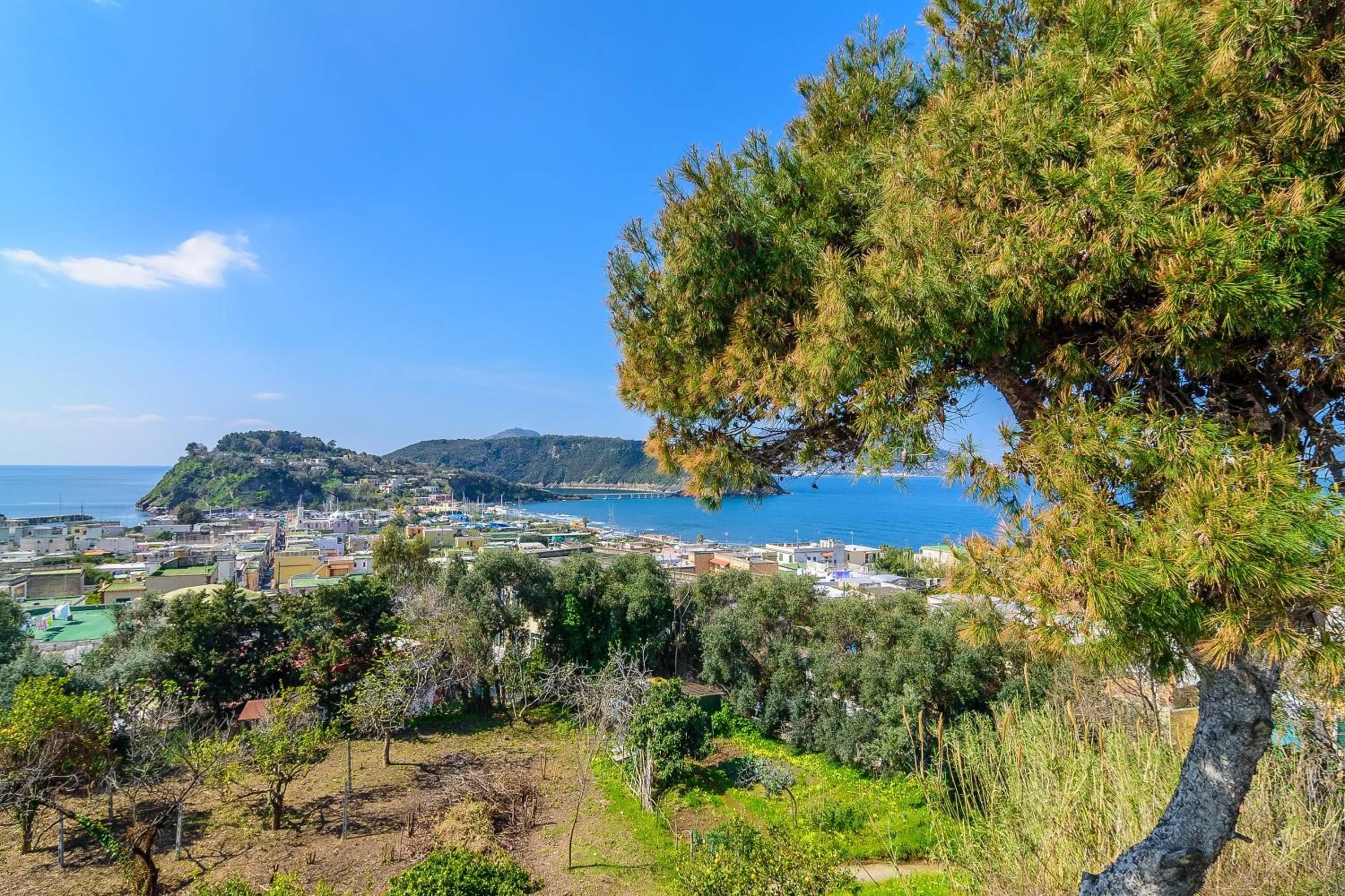 View (from property/room) in Hotel Riviera