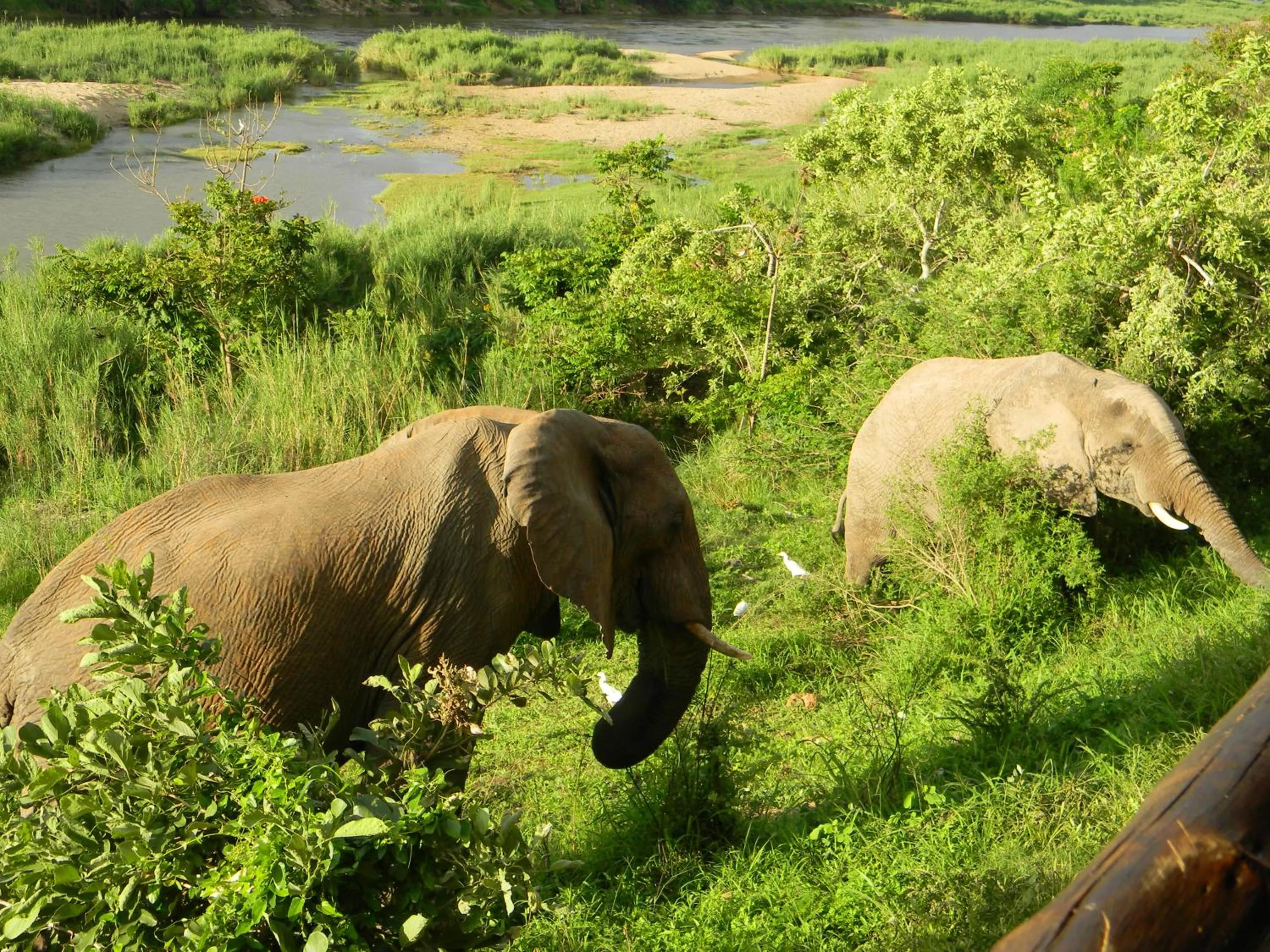 Restaurant/places to eat in Kruger View Chalets