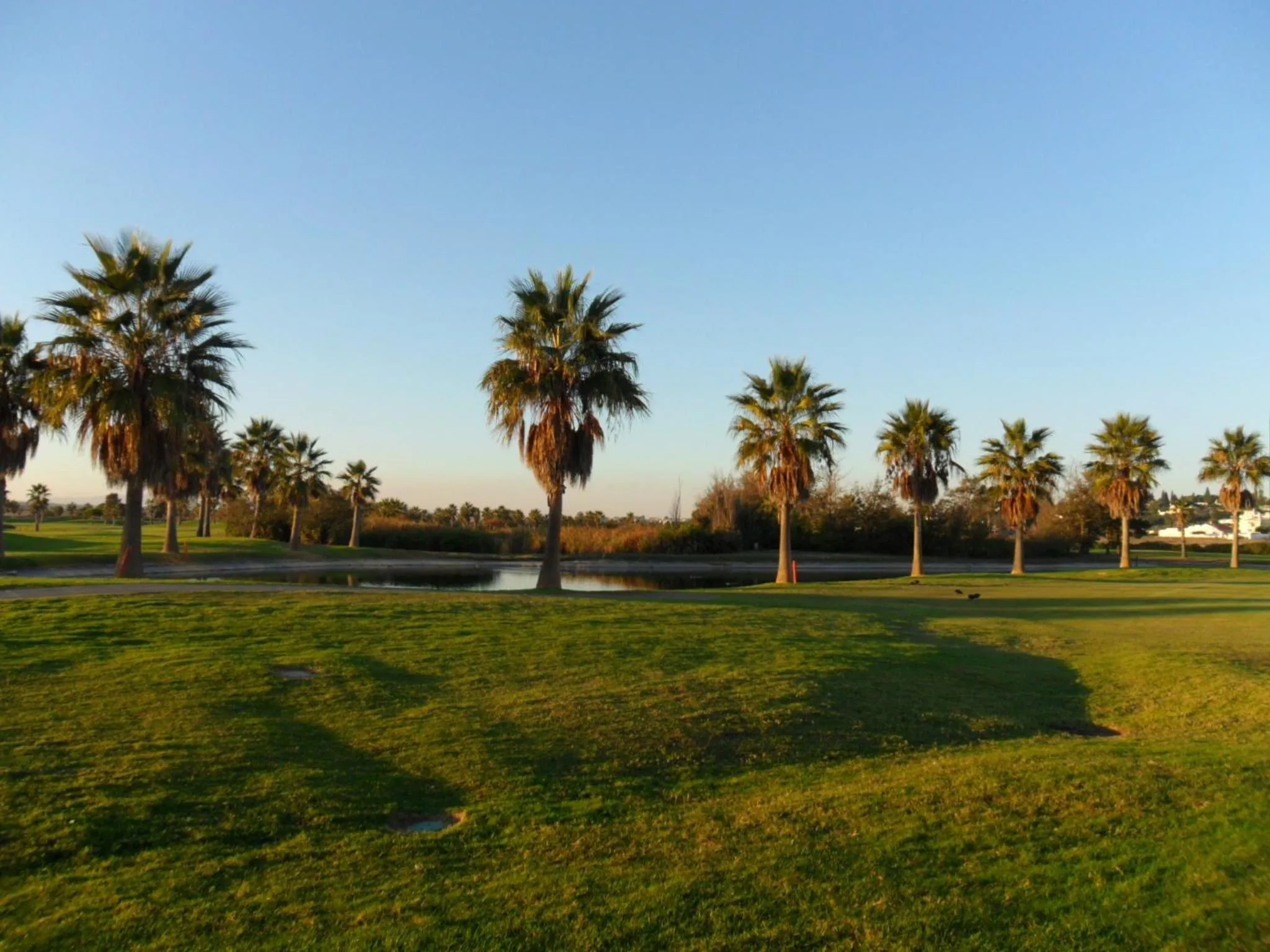 Golfcourse in Jardins de Pêra