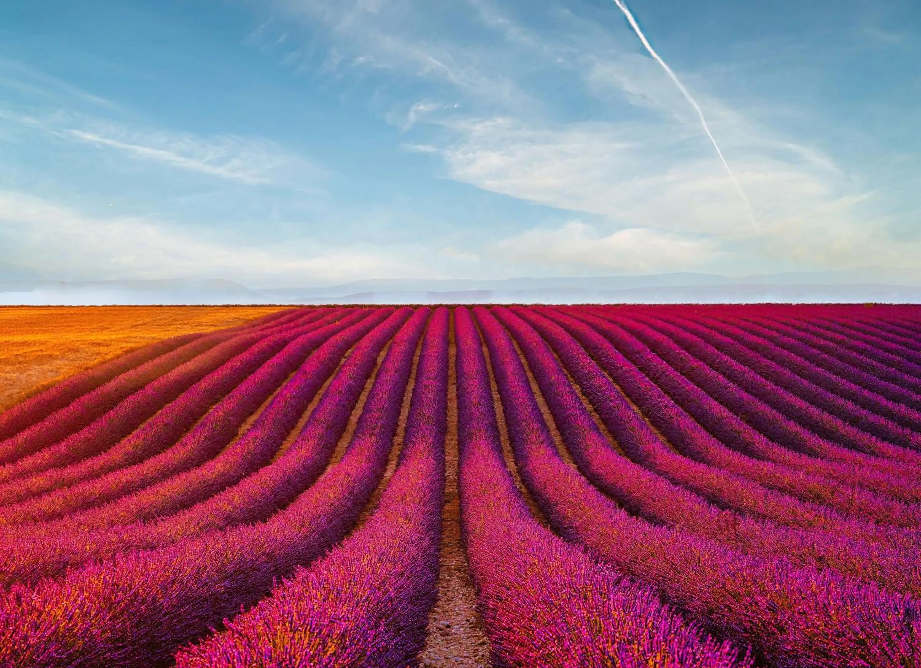 Natural landscape in Domaine Ribiera, Hotel 5 Etoiles, SPA & Golf - Forcalquier