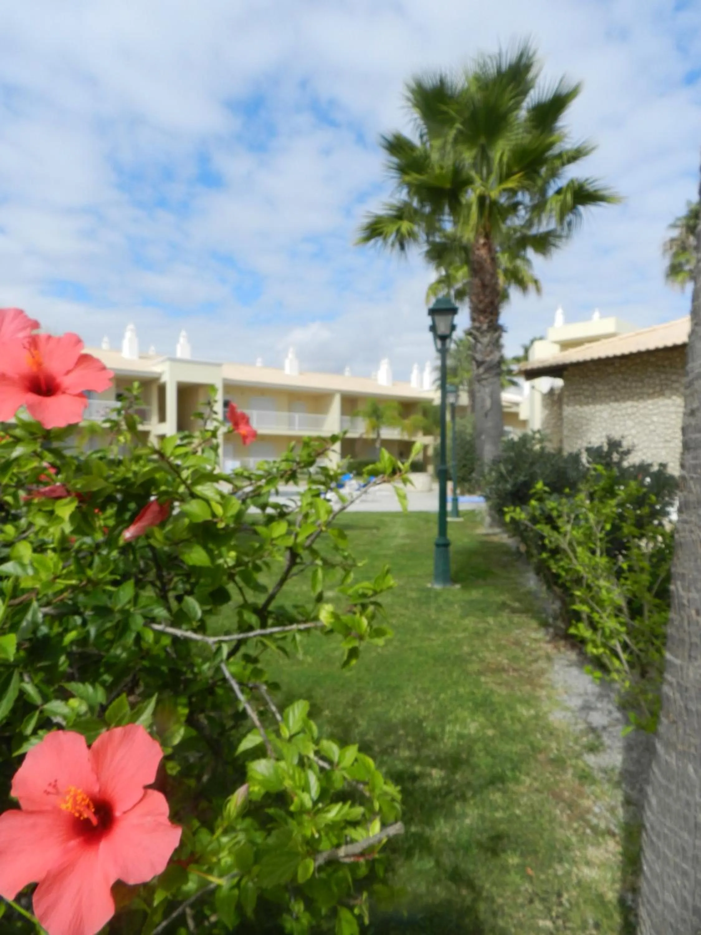 Garden view in Jardins Vale de Parra