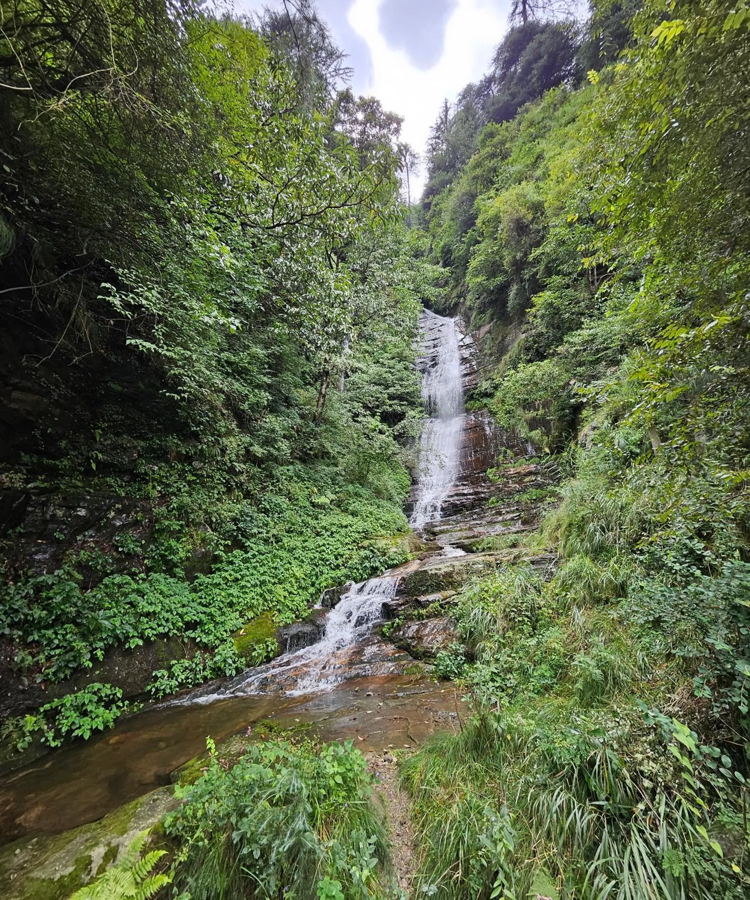 Natural landscape in BluSalzz Vine Hills Resort, Manali