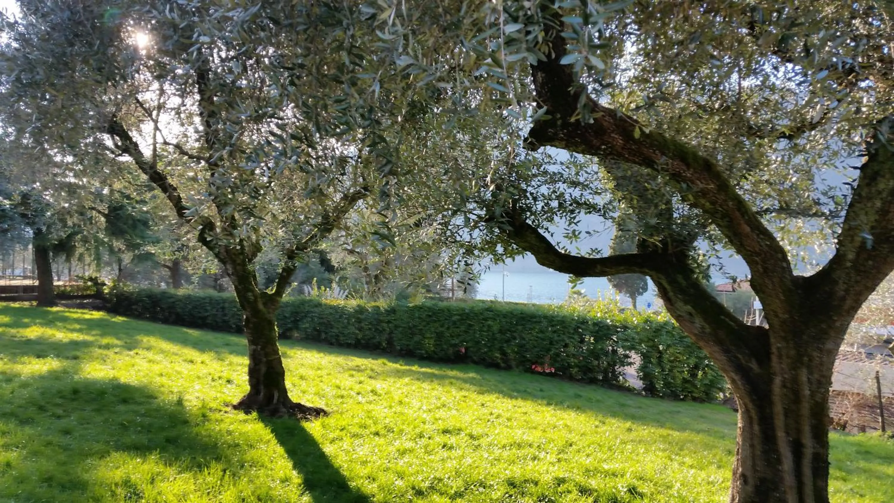 Facade/entrance in Villa Leilani B&B