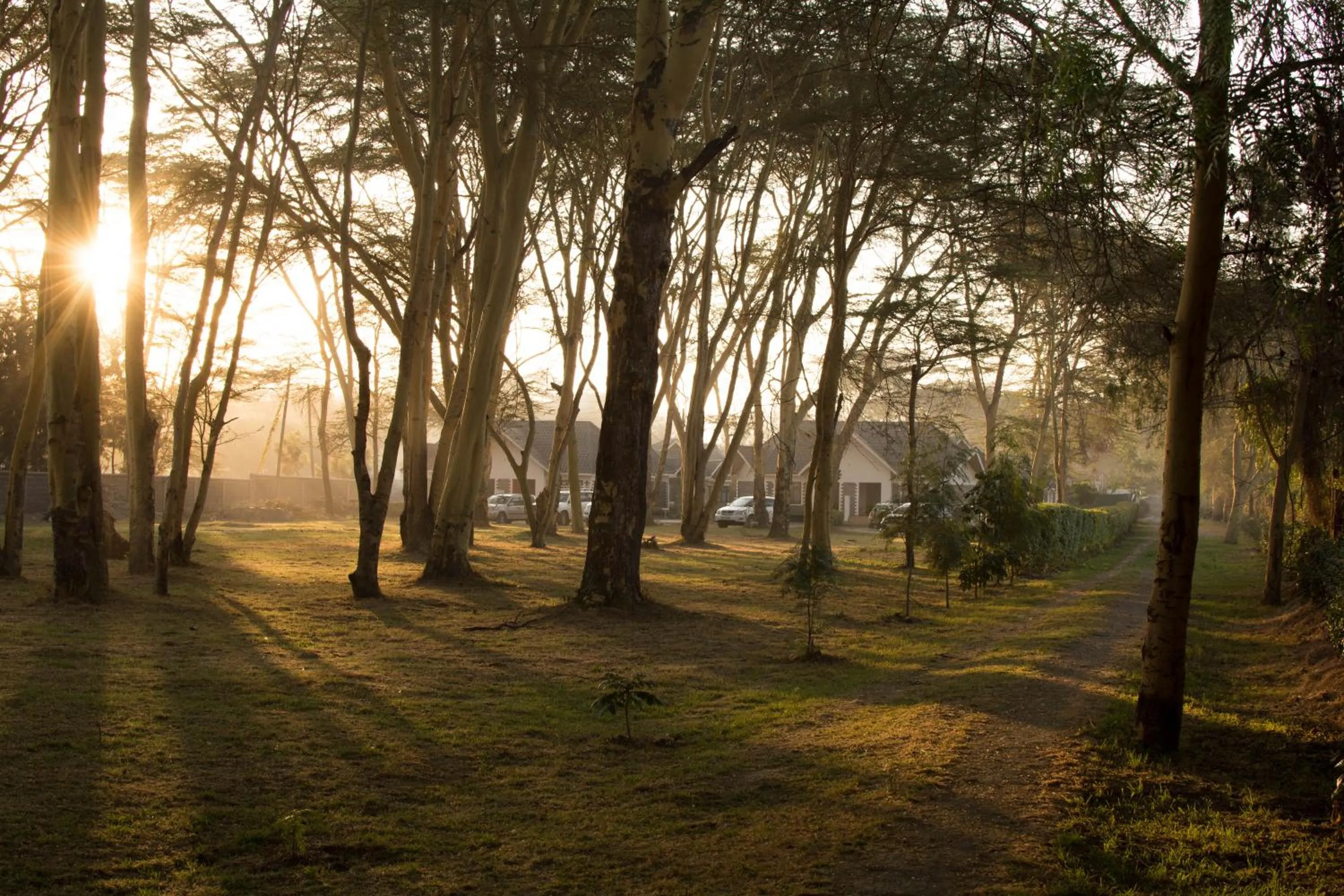 Sunrise in Burch's Resort Naivasha