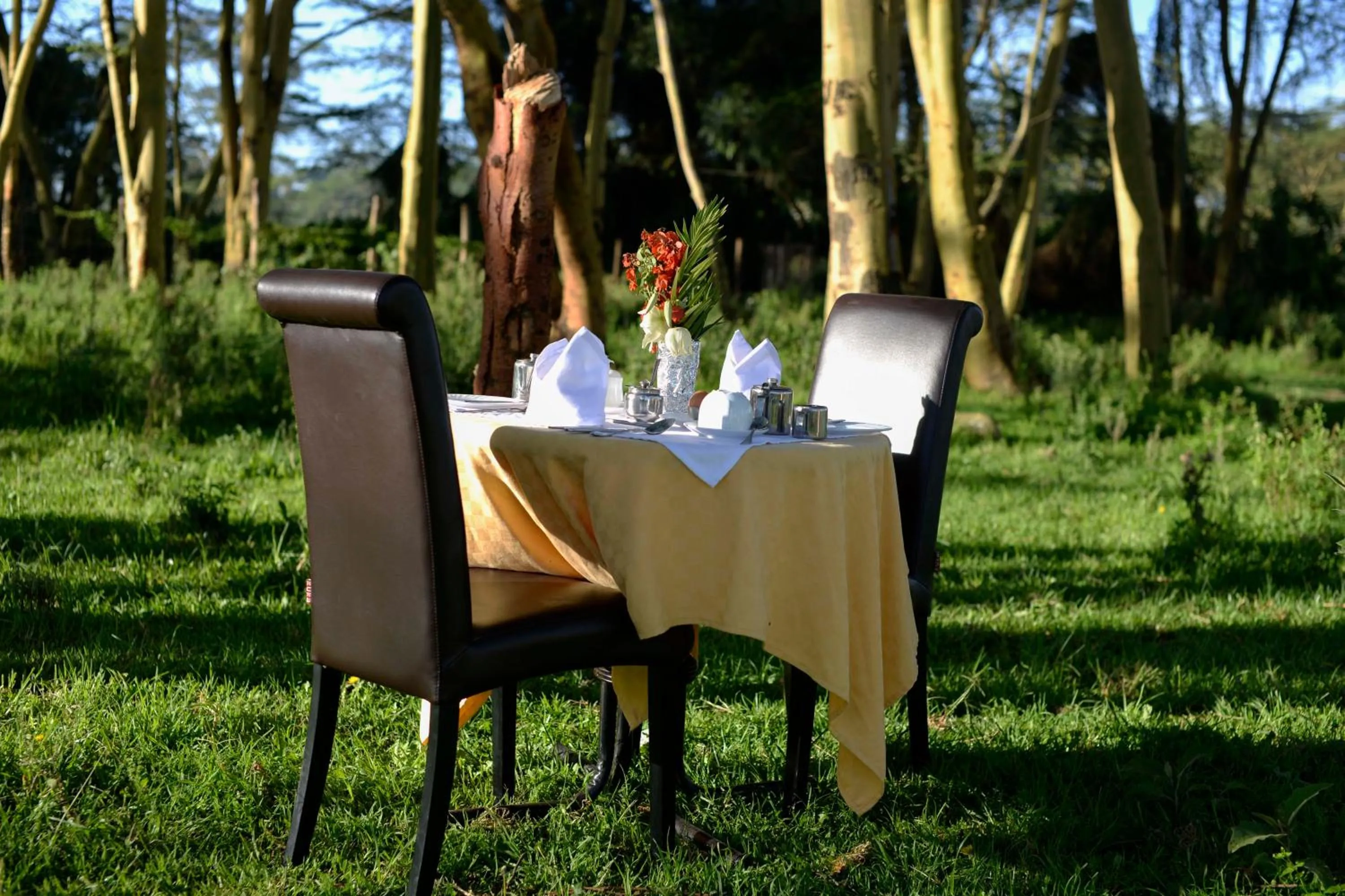 Restaurant/places to eat in Burch's Resort Naivasha