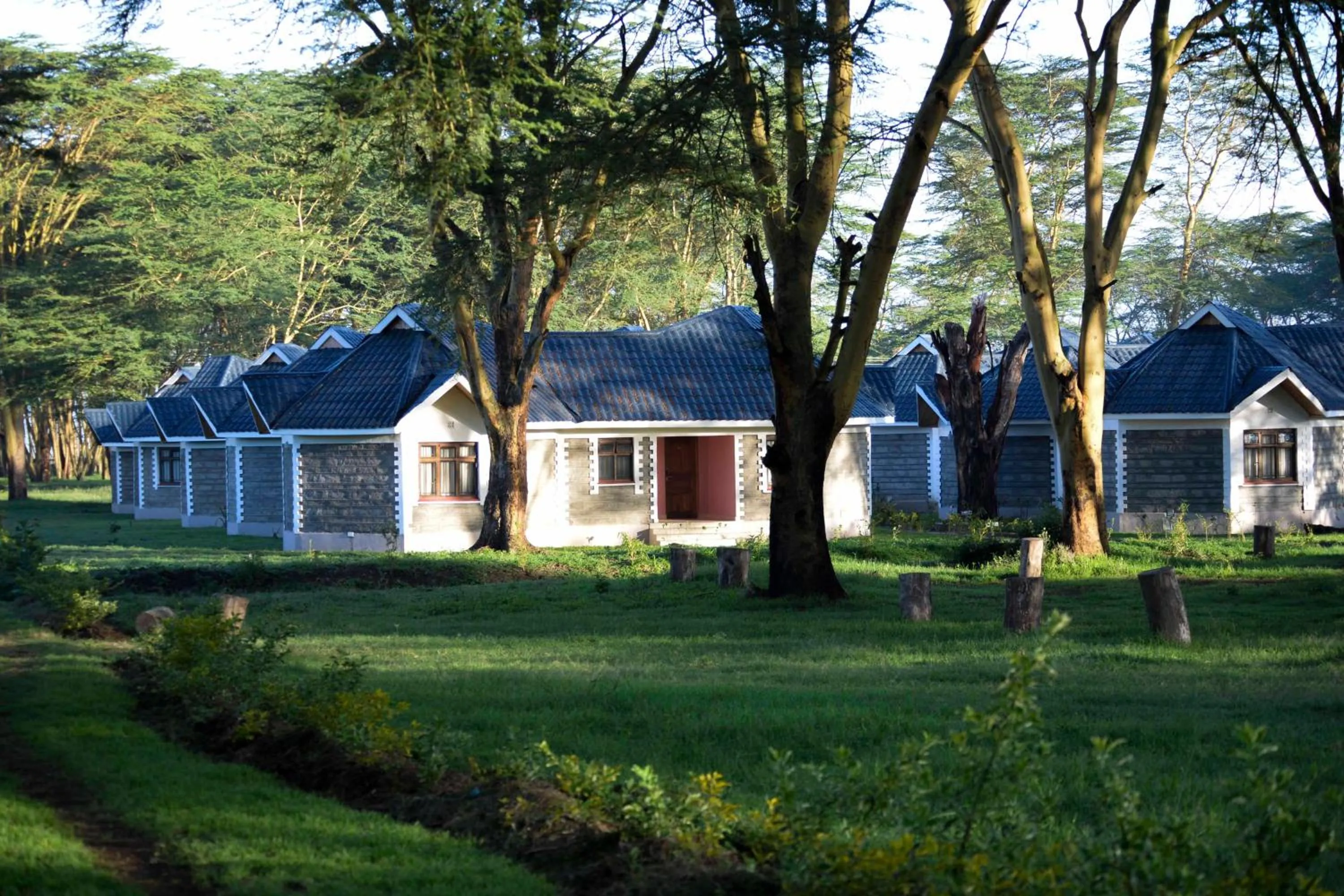 View (from property/room) in Burch's Resort Naivasha