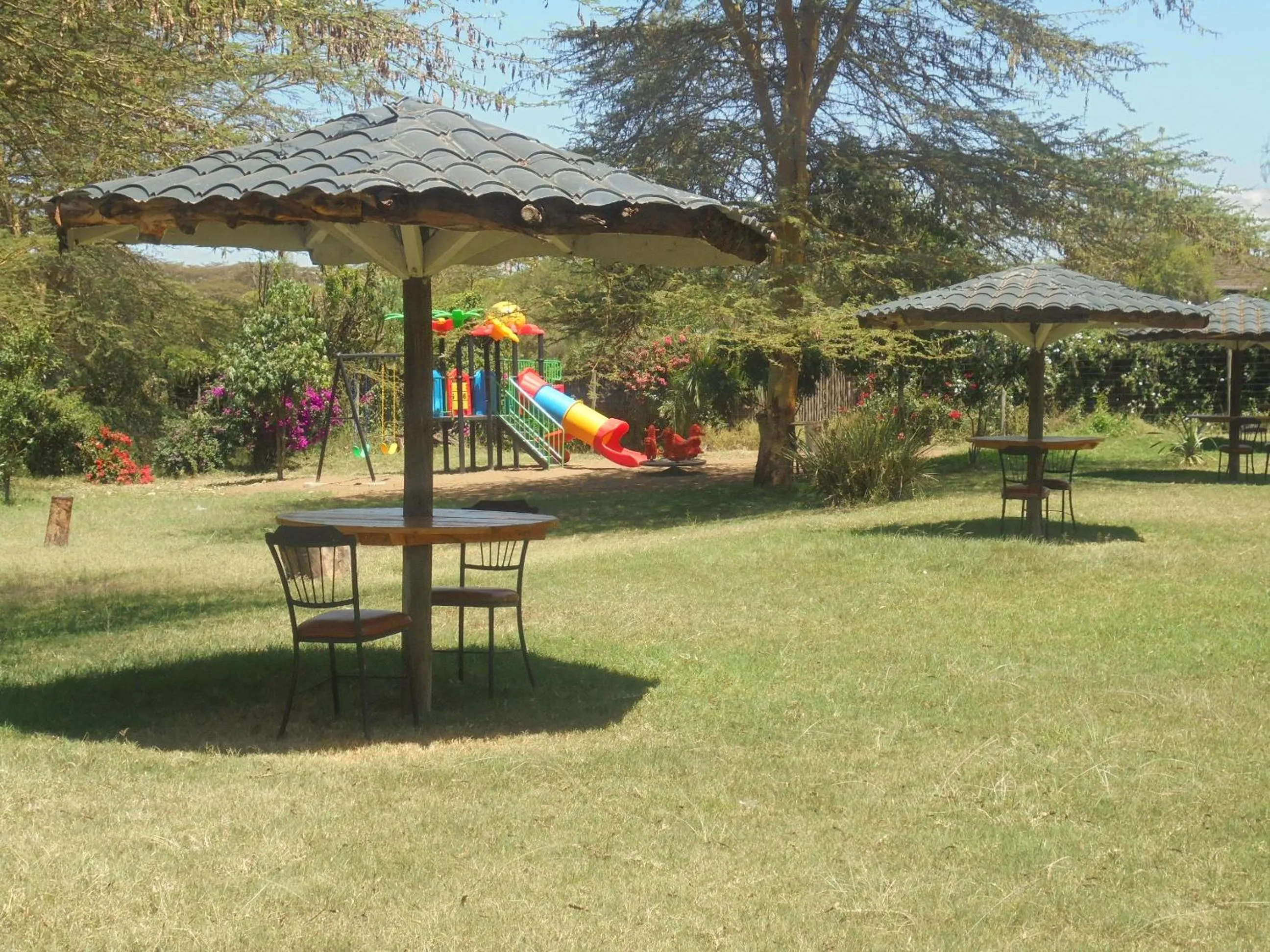 Restaurant/places to eat in Burch's Resort Naivasha