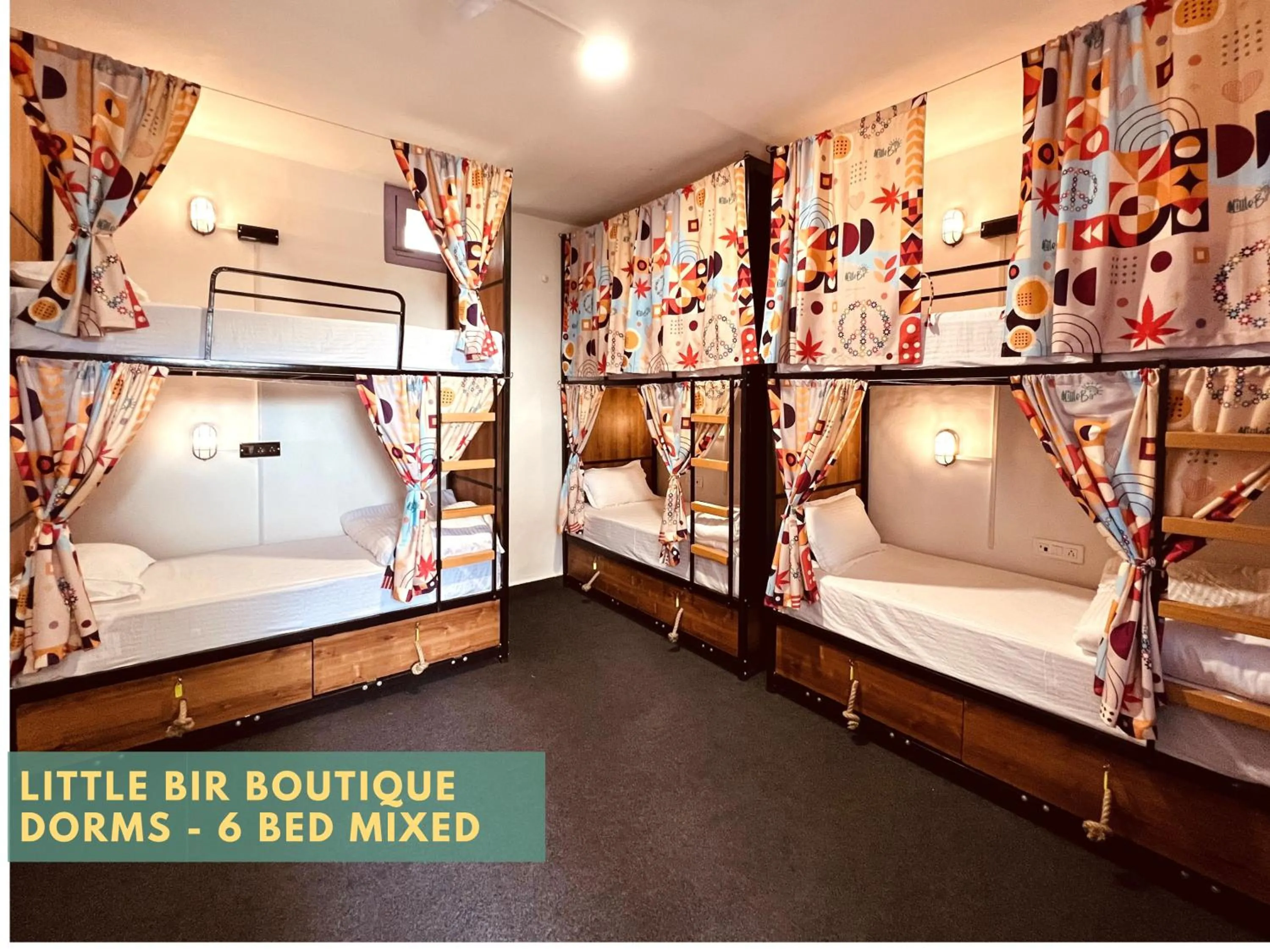 Bunk Bed in Mixed Dormitory Room in Little Bir