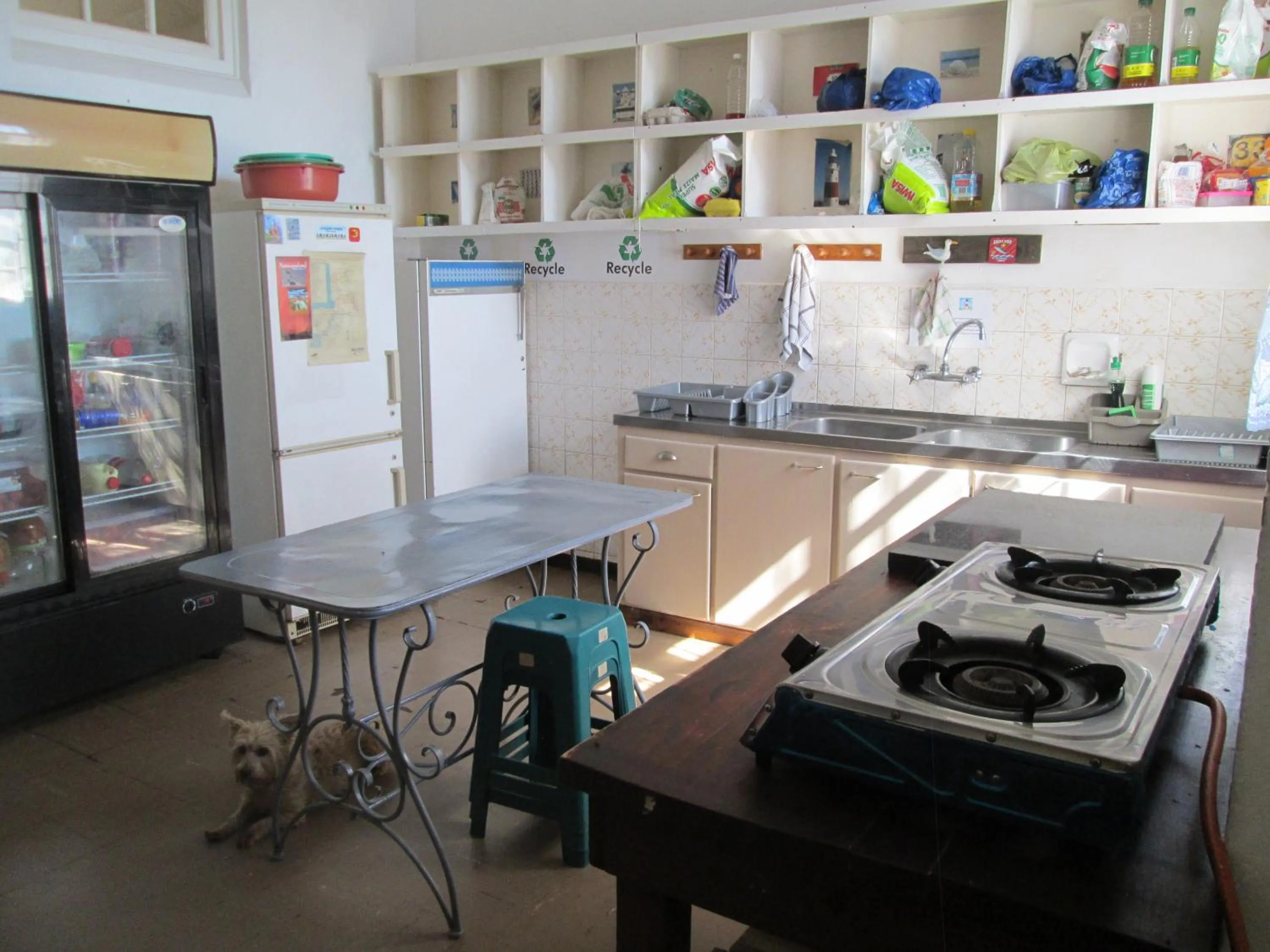 Communal kitchen in Lighthouse Farm Backpackers Lodge