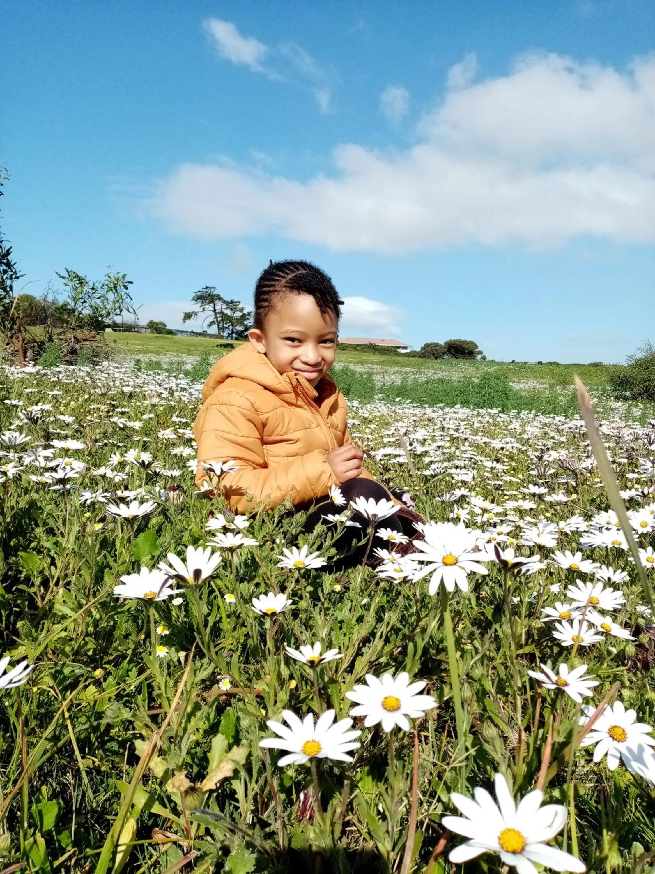 Neighbourhood in Lighthouse Farm Backpackers Lodge