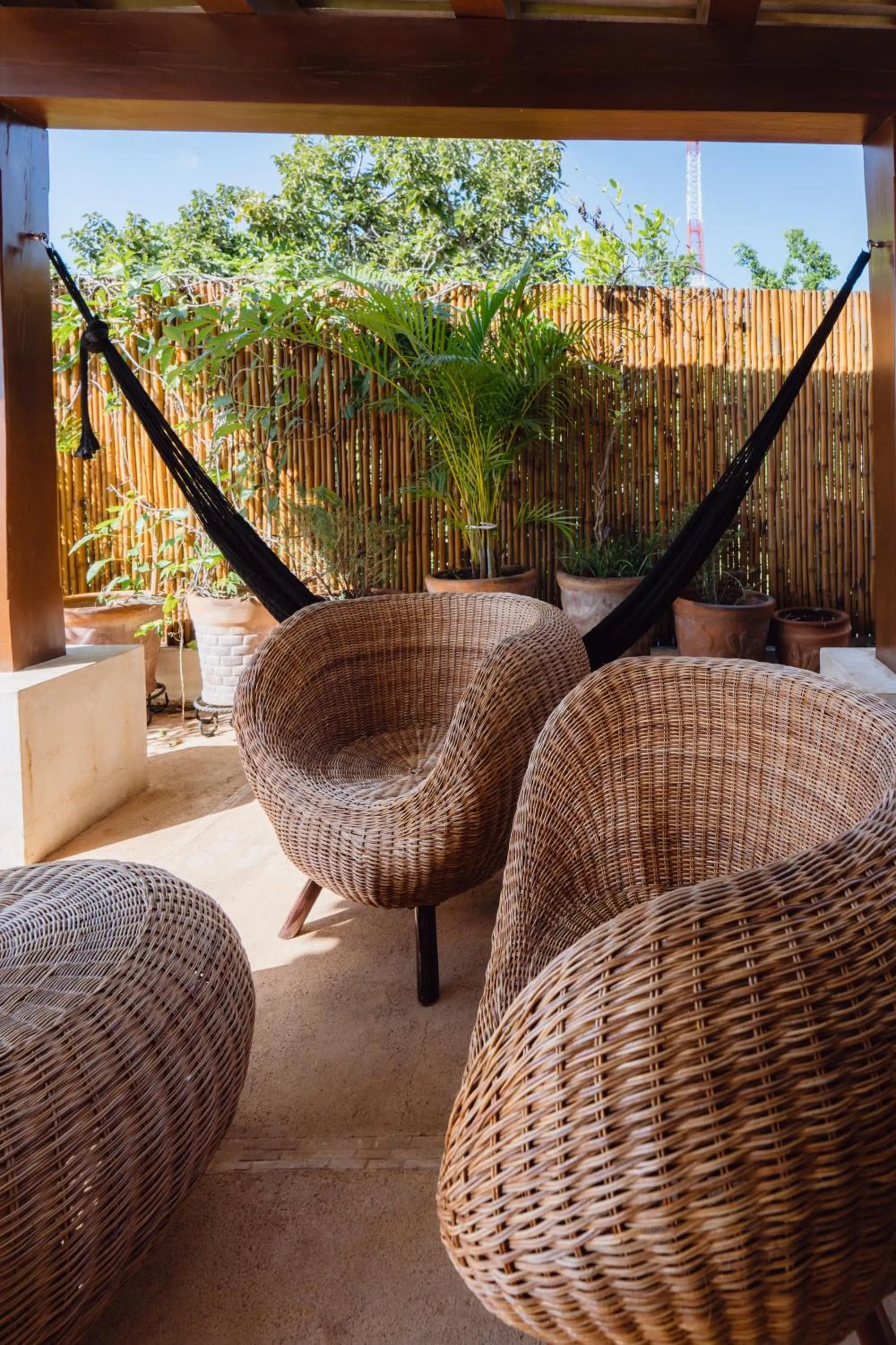 Patio in Boutique by The Museo