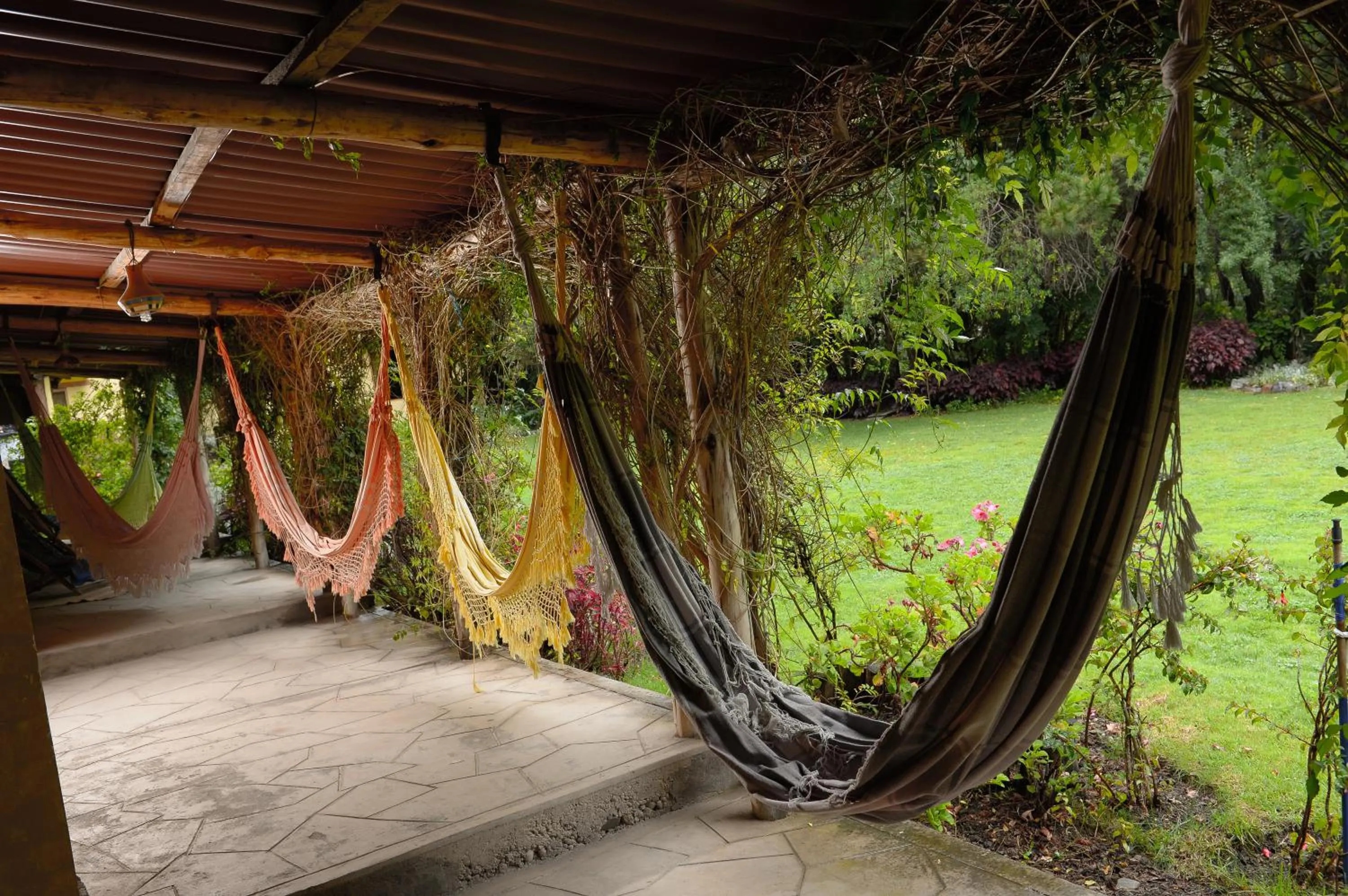 Garden in Hotel Samanapaq
