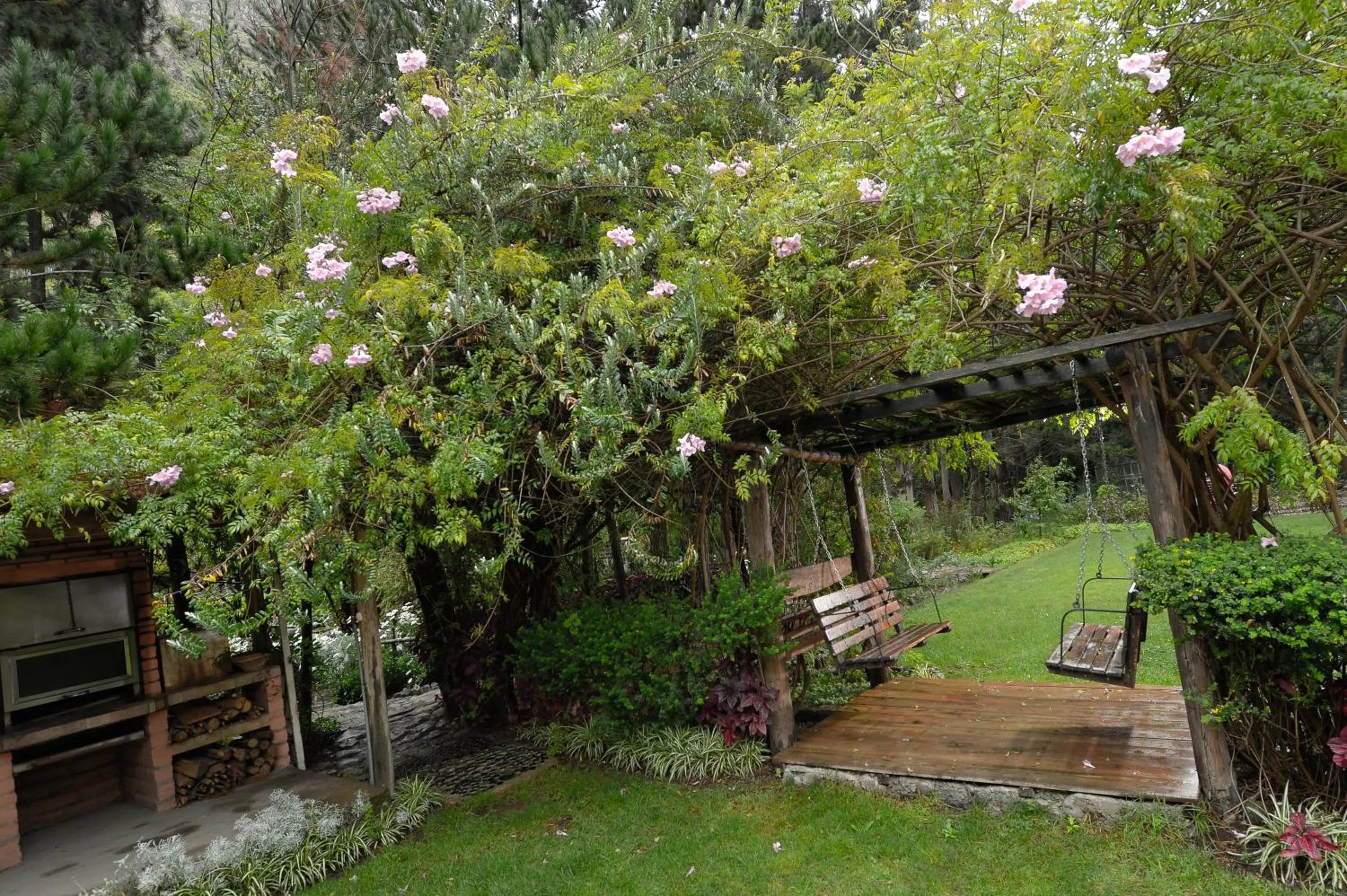 Garden in Hotel Samanapaq