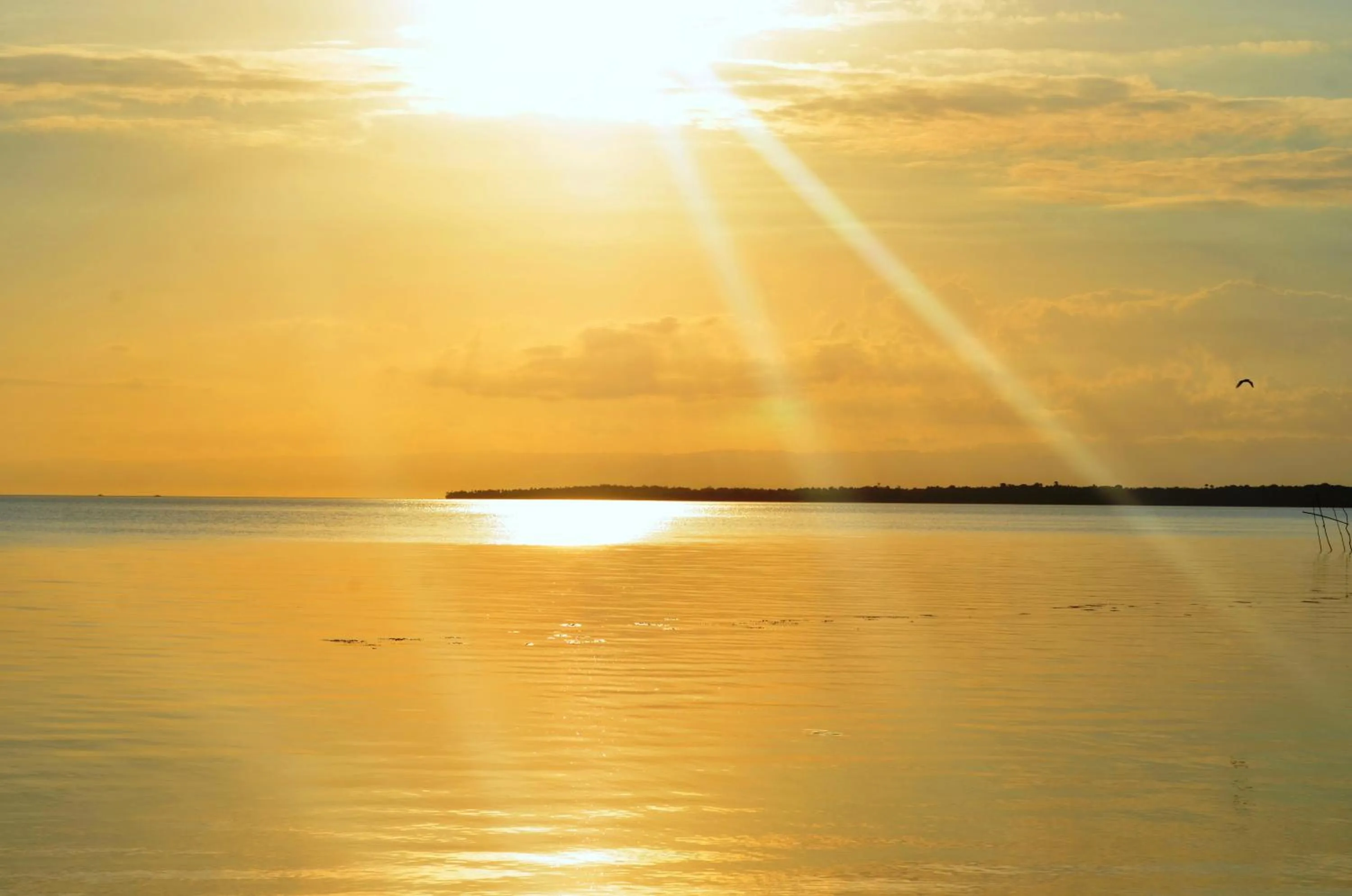 Sea view in Isla Hayahay Beach Resort and Restaurant