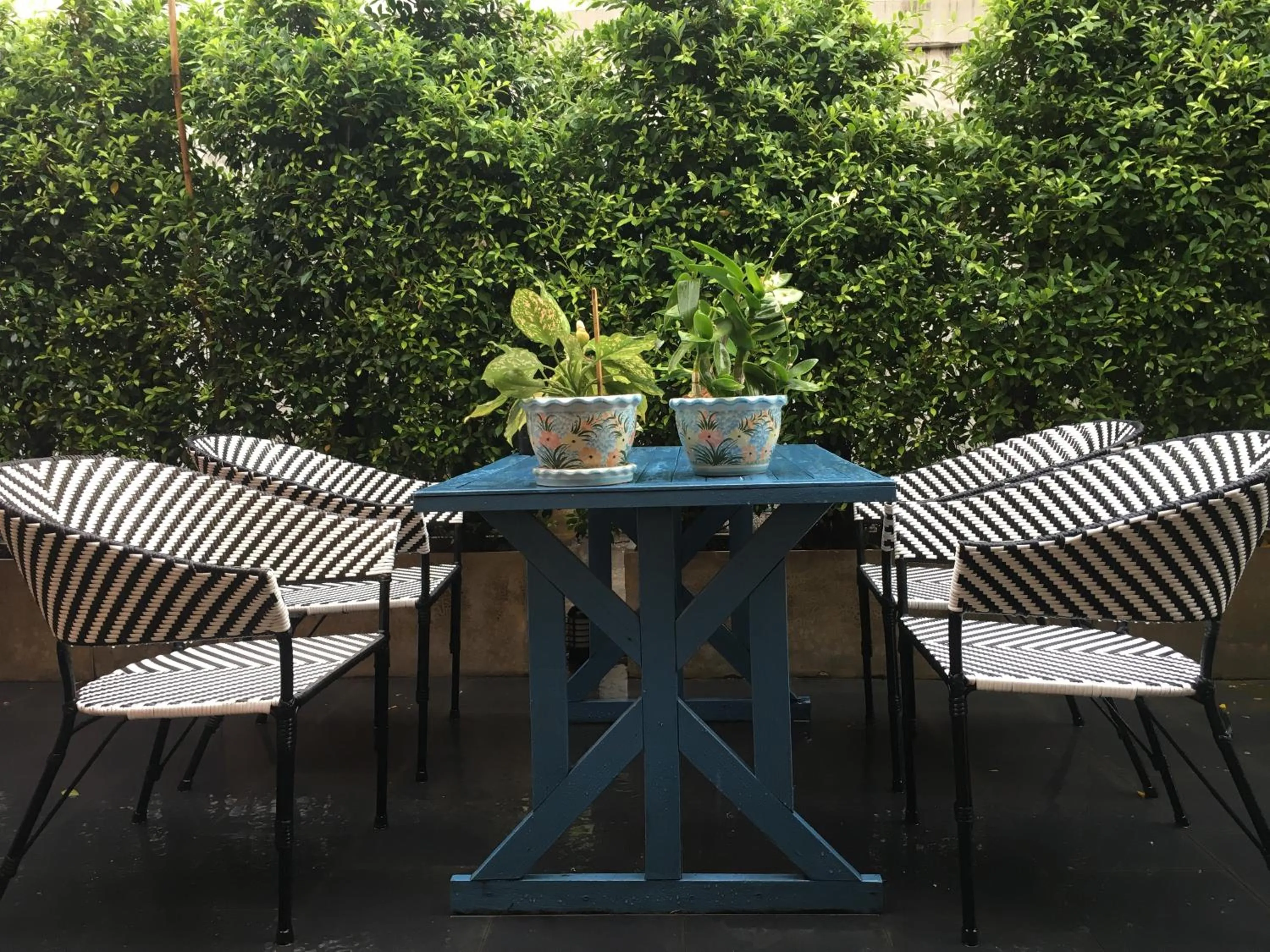 Garden in Blue Chang House